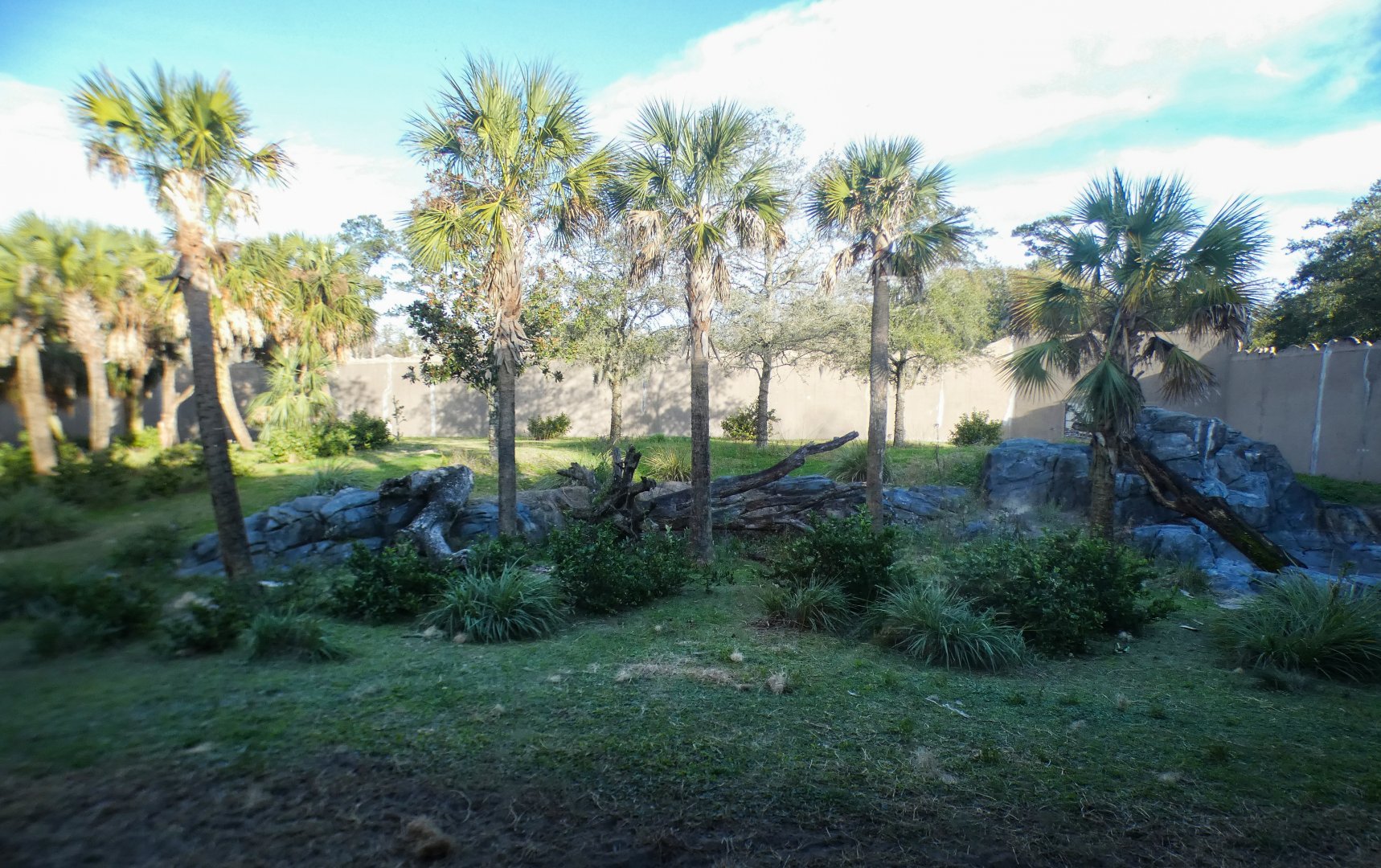 Jan. 2022 - African Forest - Half Acre Gorilla Exhibit - Right View