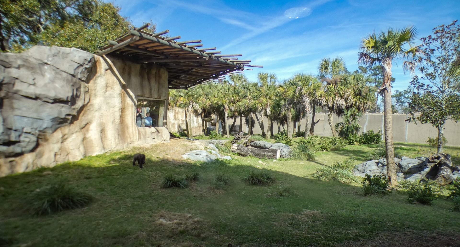 Jan. 2022 - African Forest - Half Acre Gorilla Exhibit
