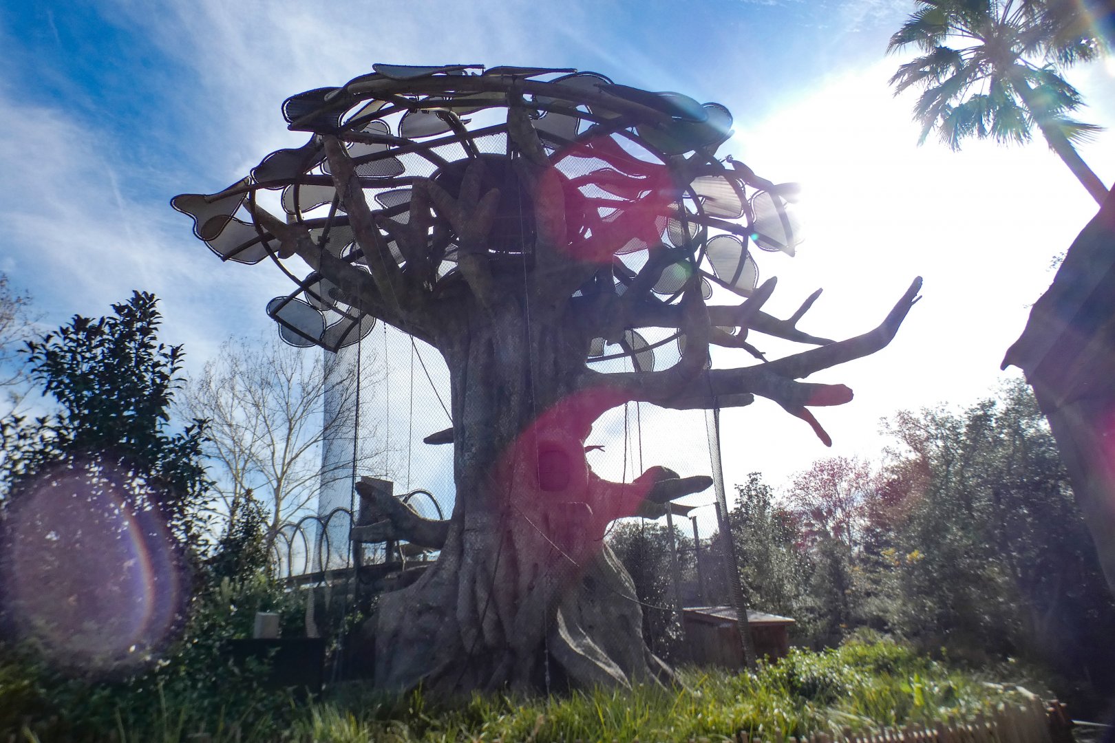 Jan. 2022 - African Forest - Kapok Tree Exhibit