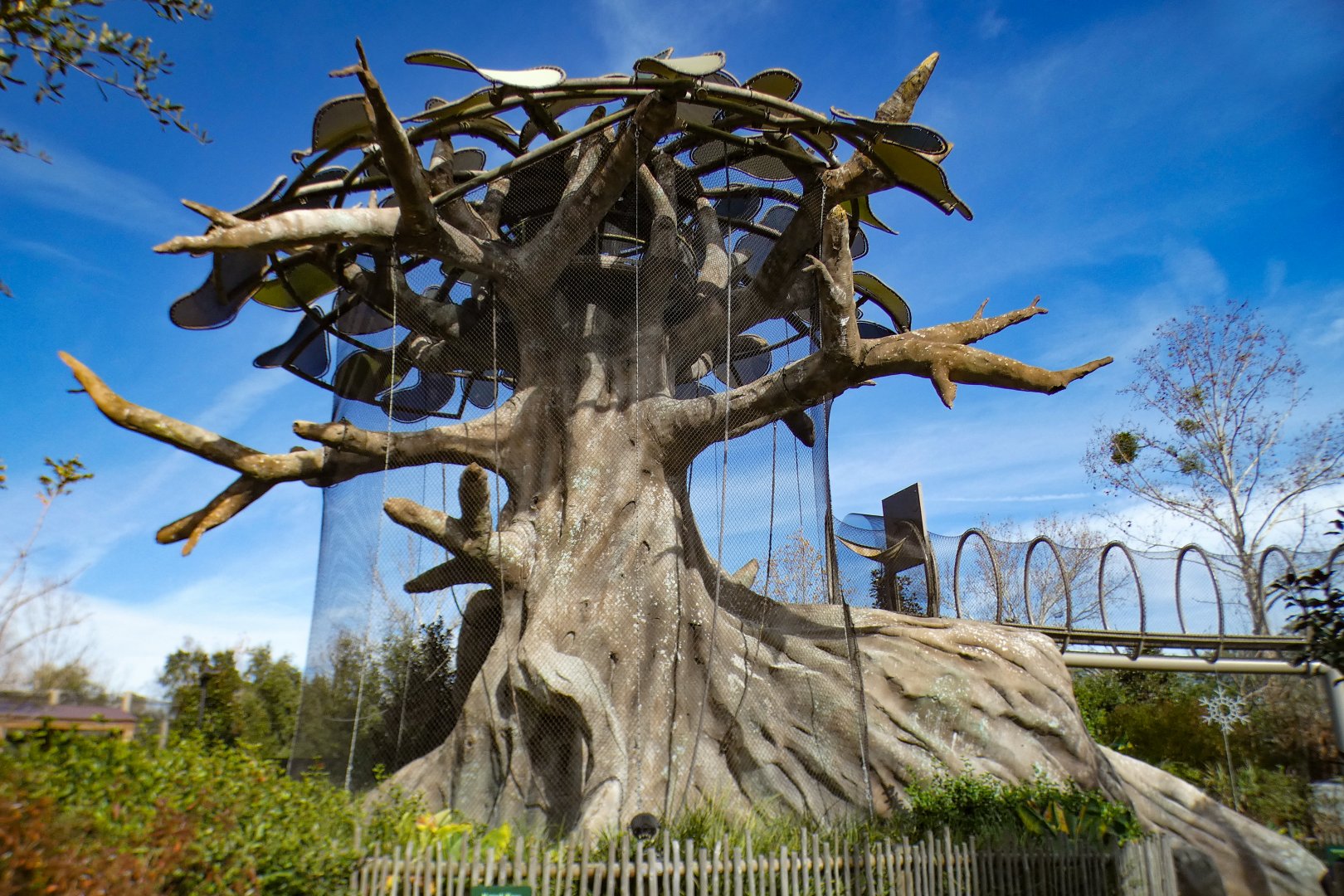 Jan. 2022 - African Forest - Kapok Tree Timeshare Exhibit