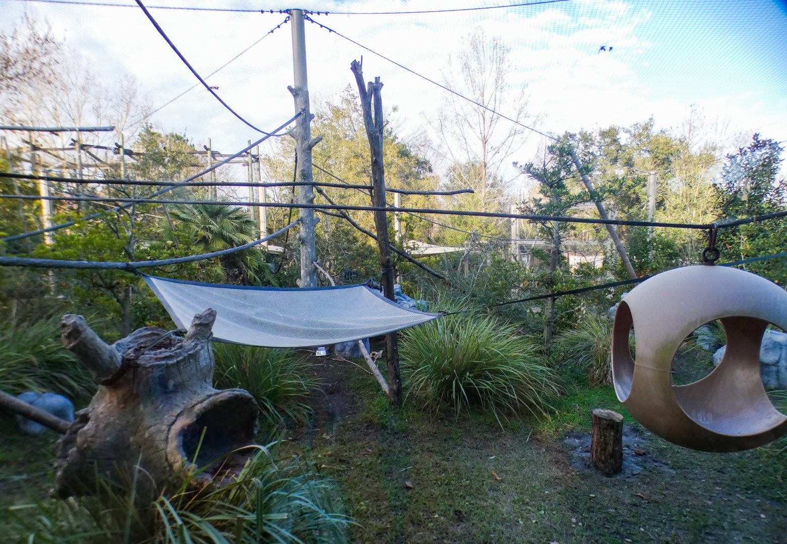 Jan. 2022 - African Forest - Lemur Exhibit (Rotates 5 Species)