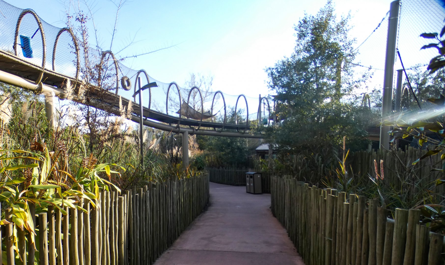 Jan. 2022 - African Forest - Overhead Path in Between Bonobo Exhibits