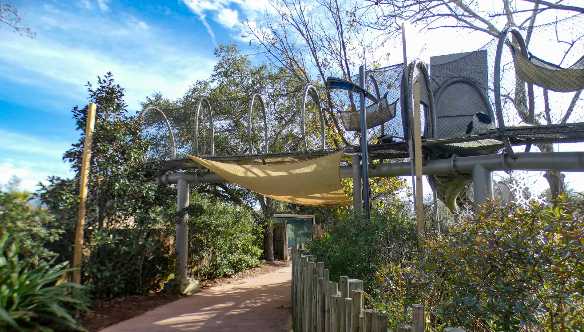 Jan. 2022 - African Forest - Overhead Tunnel Towards Gorillas