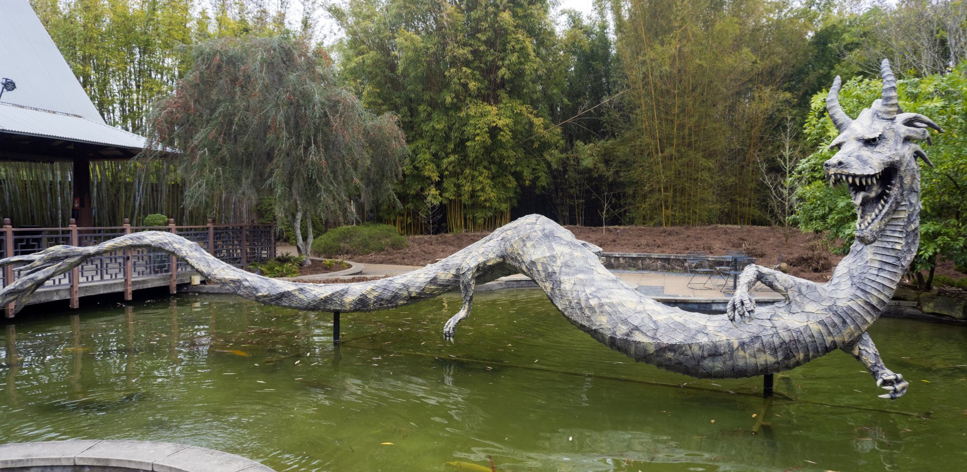 Jan. 2022 - Asian Bamboo Garden - Dragon