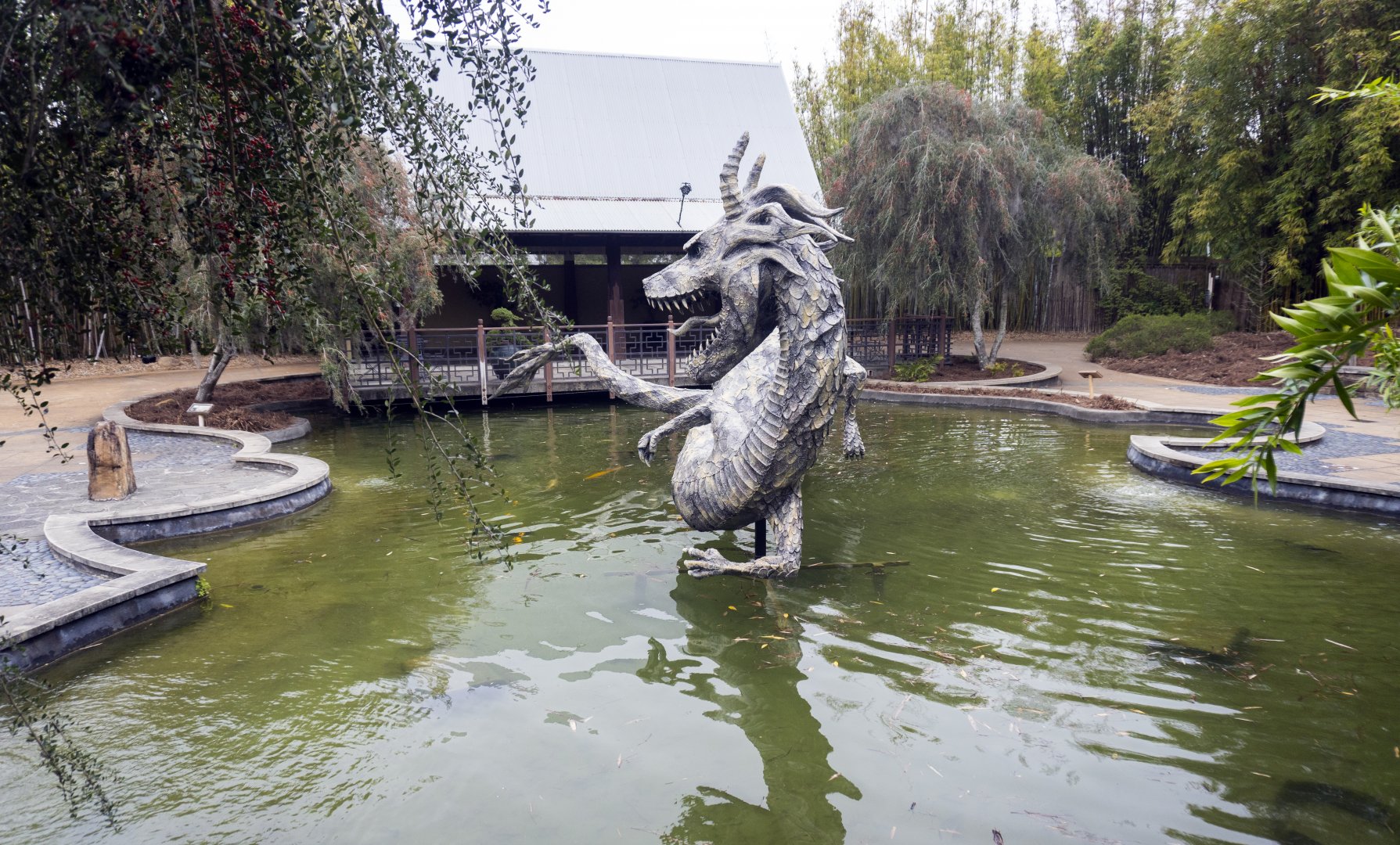 Jan. 2022 - Asian Bamboo Garden - Koi Pond