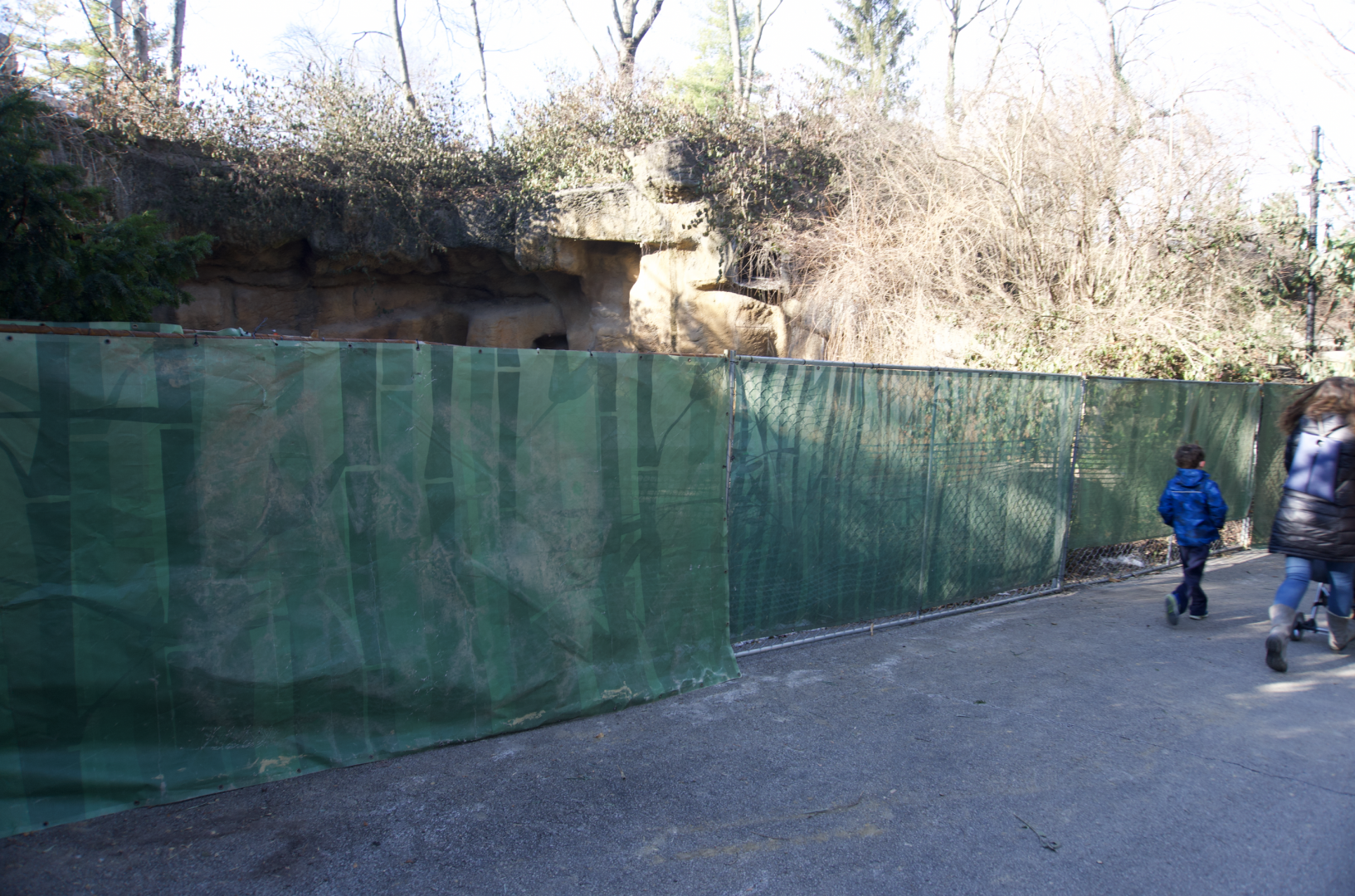 Jan. 2022 - Bear Hill - Black Bear Exhibit Fenced Off