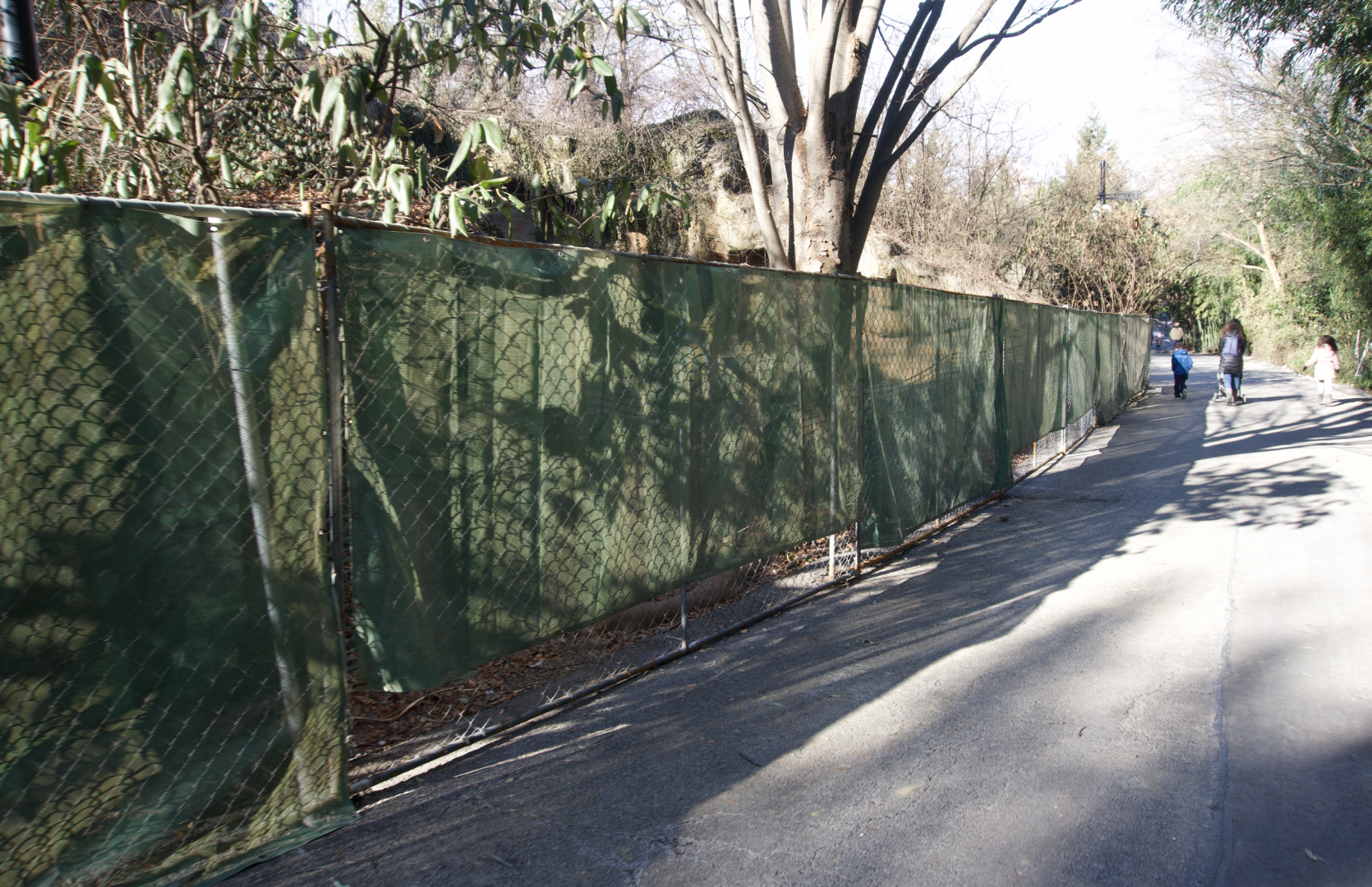 Jan. 2022 - Bear Hill - Spectacled Bear Exhibit Fenced Off