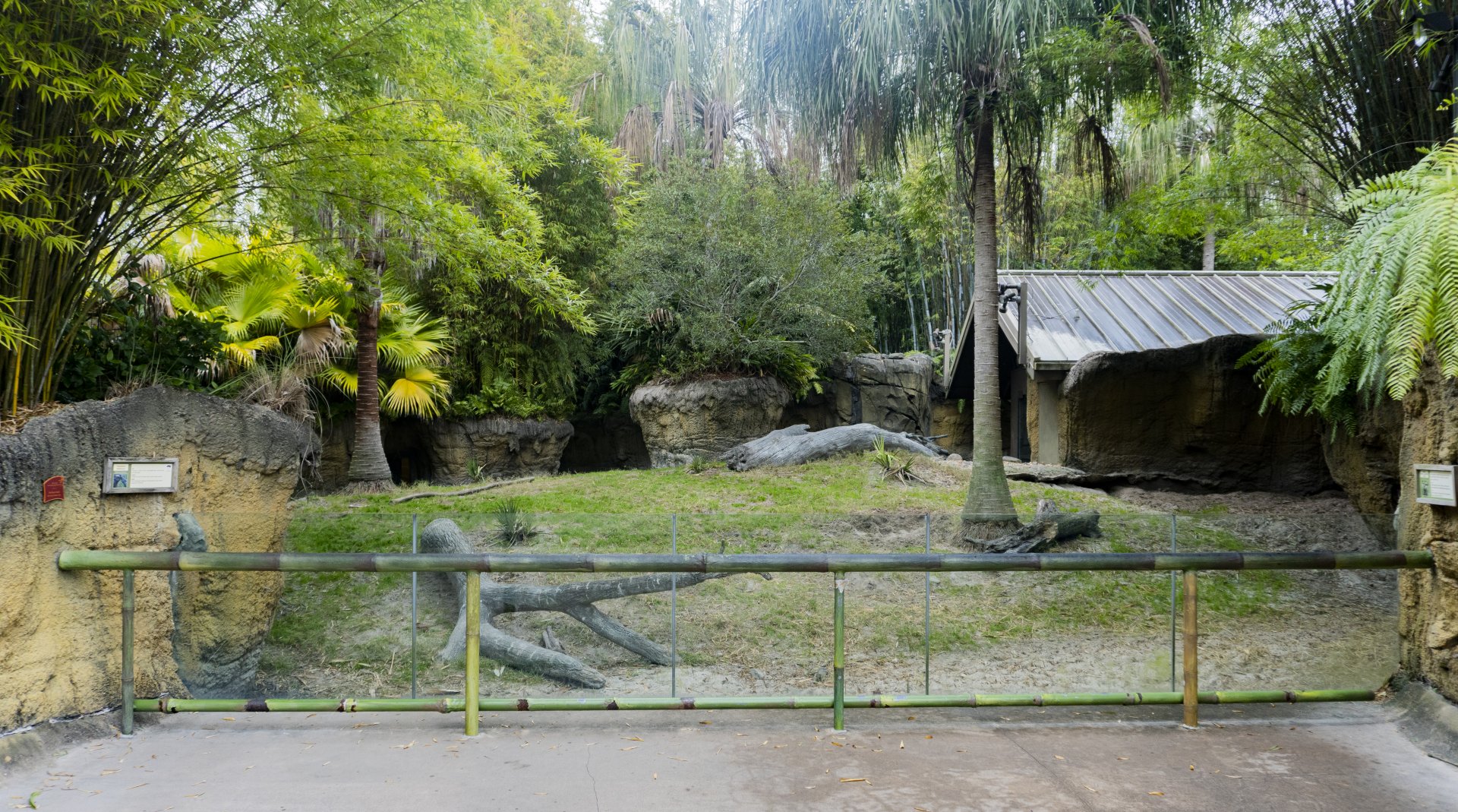 Jan. 2022 - Land of the Tiger - Babirusa/Asian Small-clawed Otter Exhibit