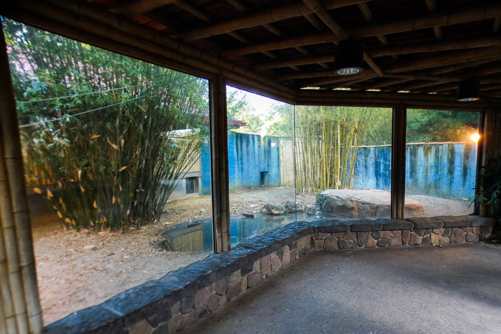 Jan. 2022 - Land of the Tiger - Komodo Dragon Exhibit