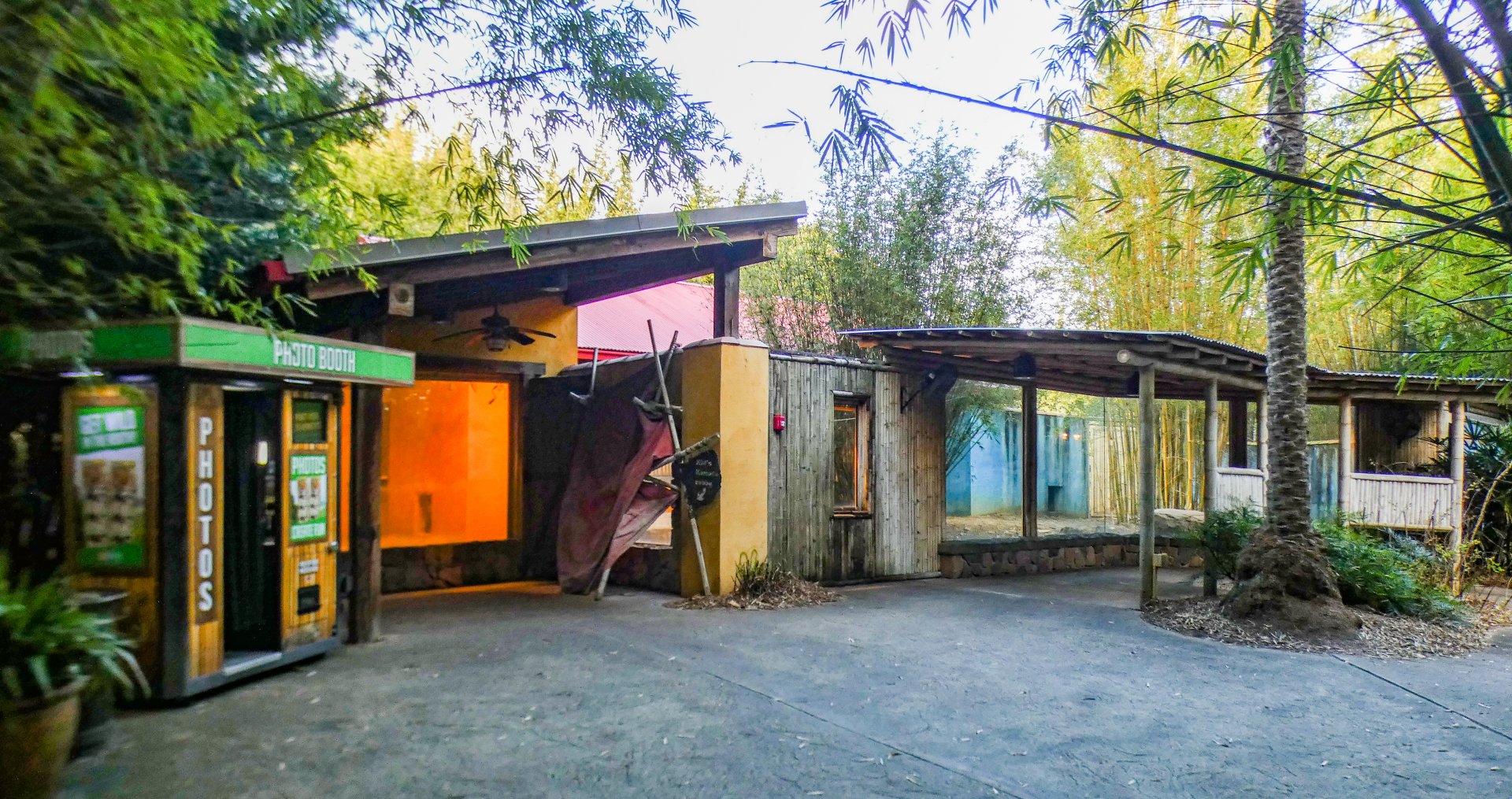 Jan. 2022 - Land of the Tiger - Komodo Dragon Exhibit