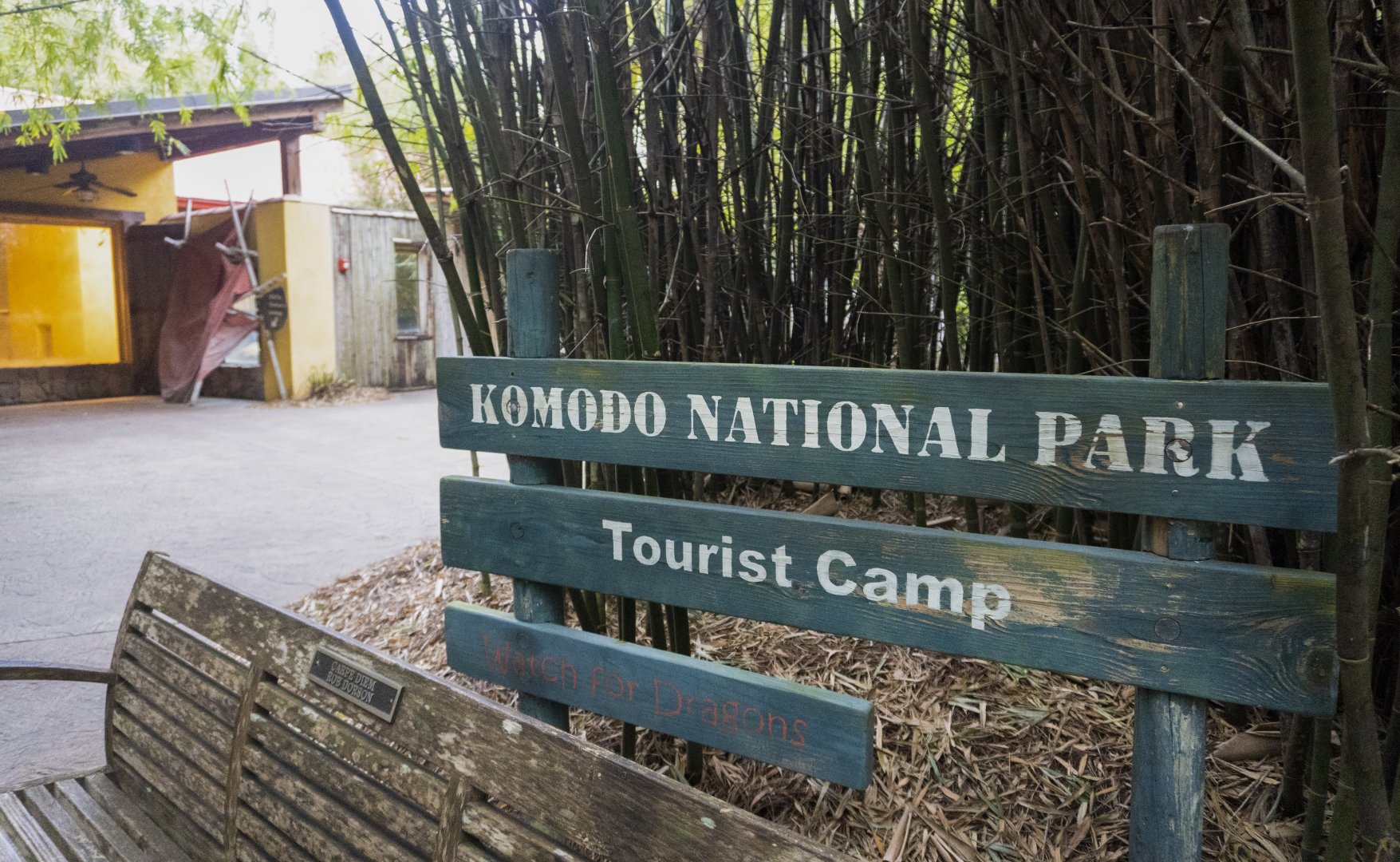 Jan. 2022 - Land of the Tiger - Komodo Dragon Exhibit