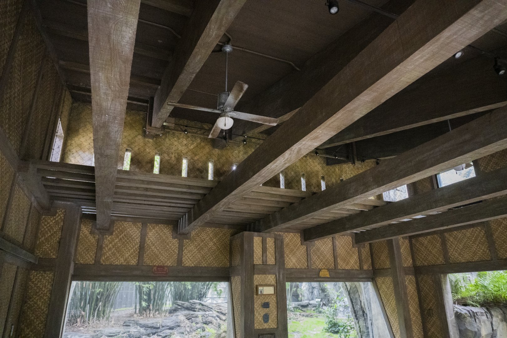 Jan. 2022 - Land of the Tiger - Left Tiger Exhibit Overhead Pass (Malayan/Sumatran)