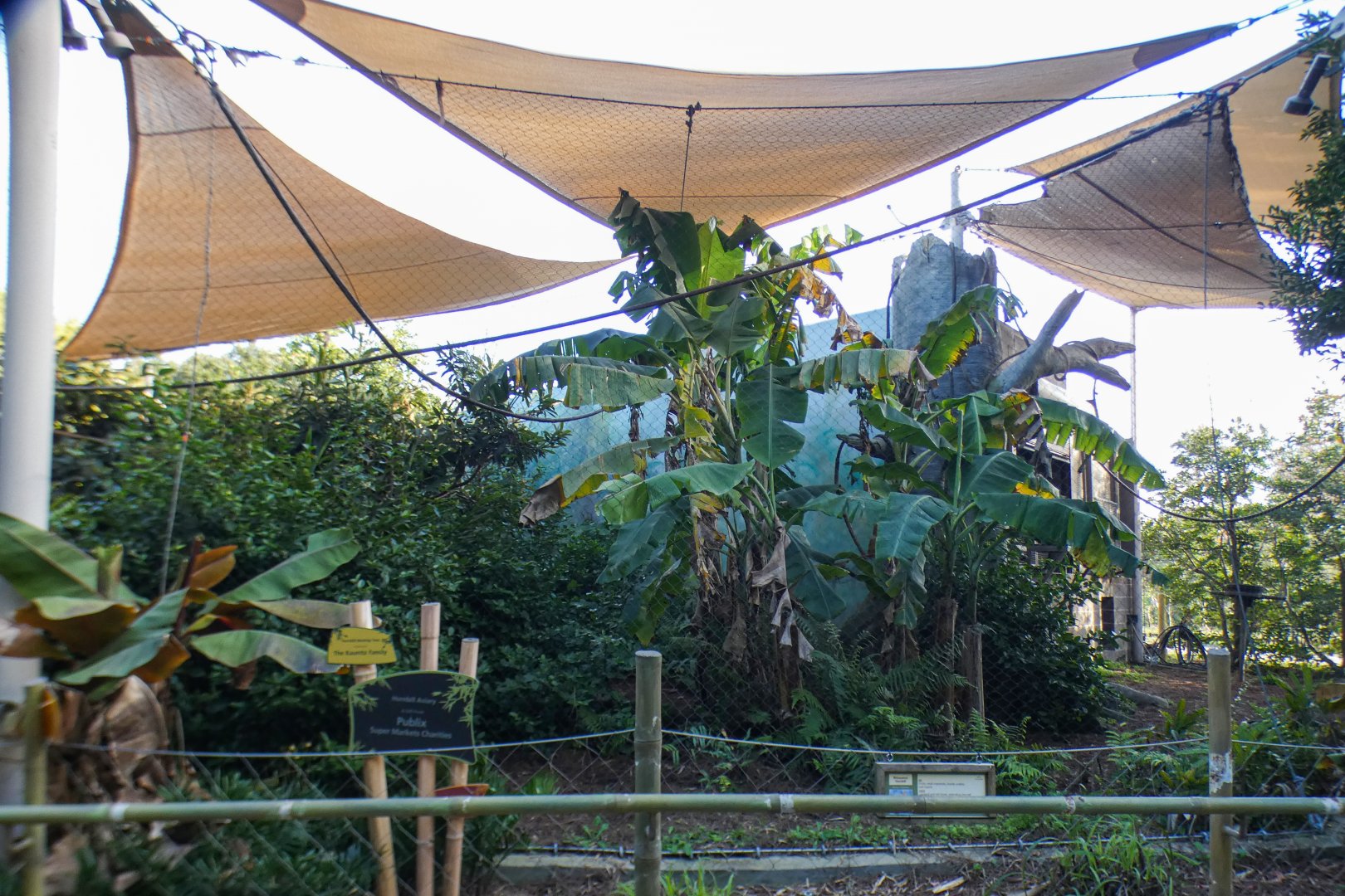 Jan. 2022 - Land of the Tiger - Rhinoceros Hornbill Exhibit