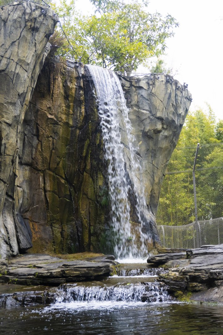 Jan. 2022 - Land of the Tiger - Right Tiger Exhibit - Waterfall