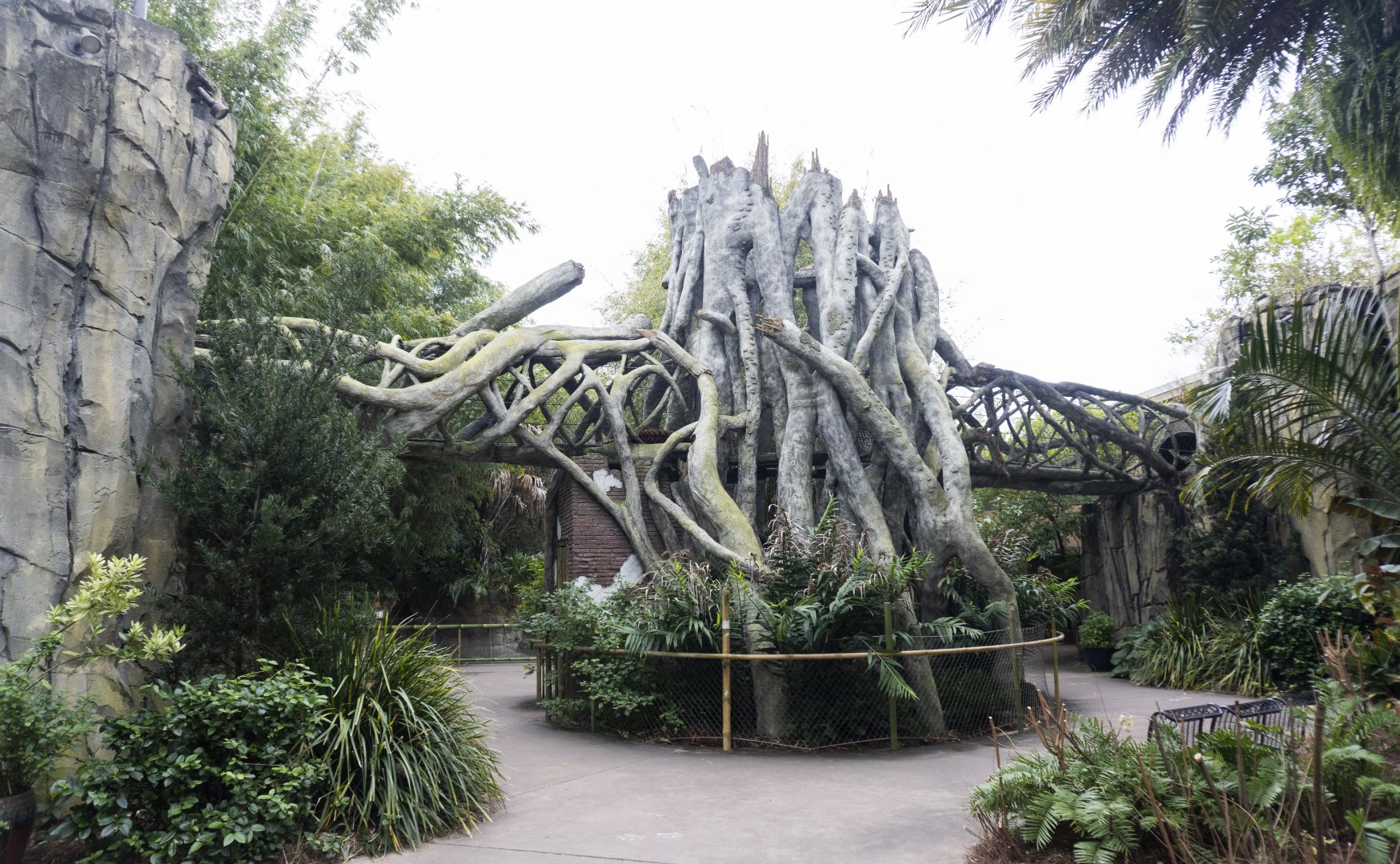 Jan. 2022 - Land of the Tiger - Tiger Overpass (Malayan/Sumatran) See the Tiger?