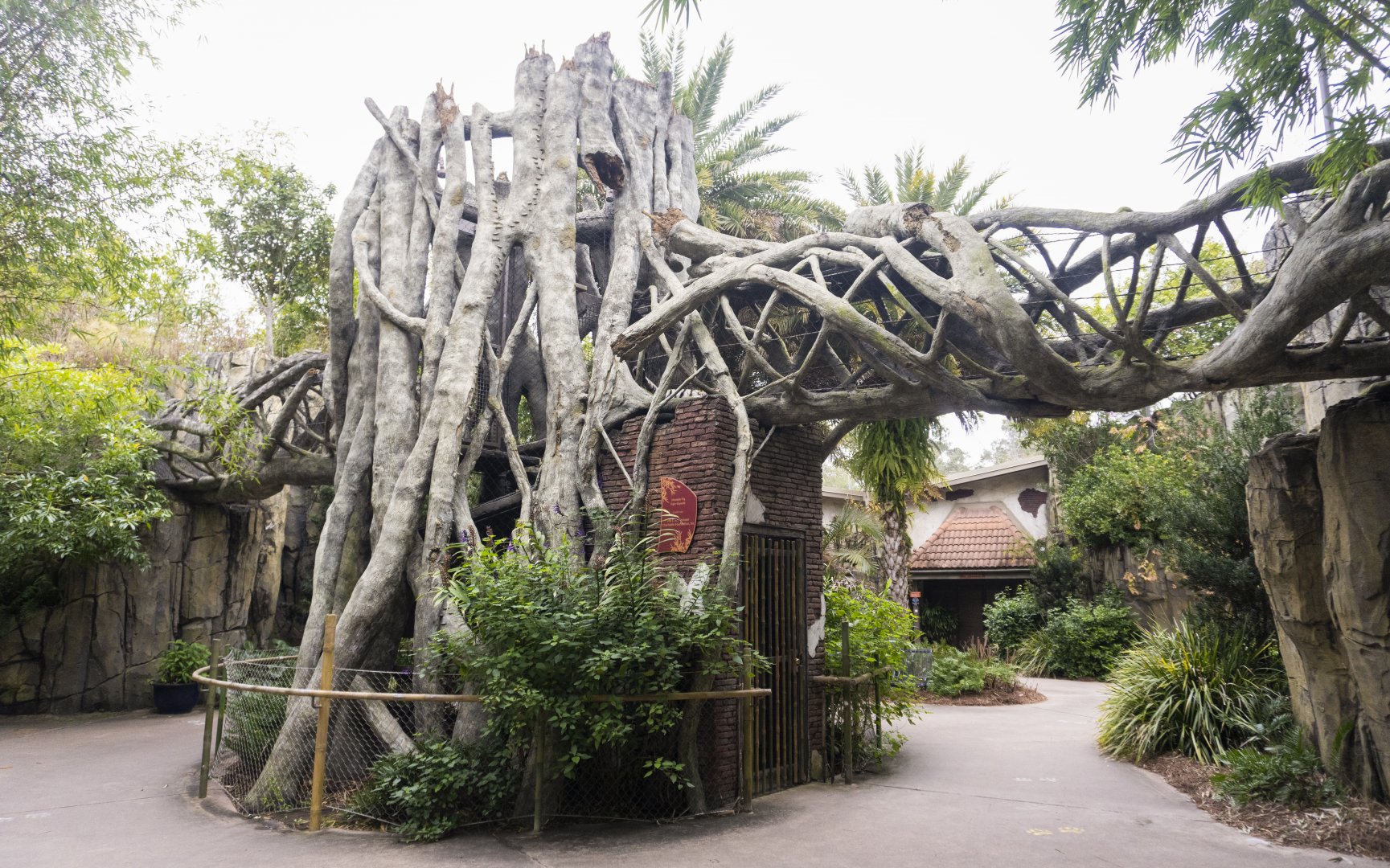 Jan. 2022 - Land of the Tiger - Tiger Overpass (Malayan/Sumatran) See the Tiger?