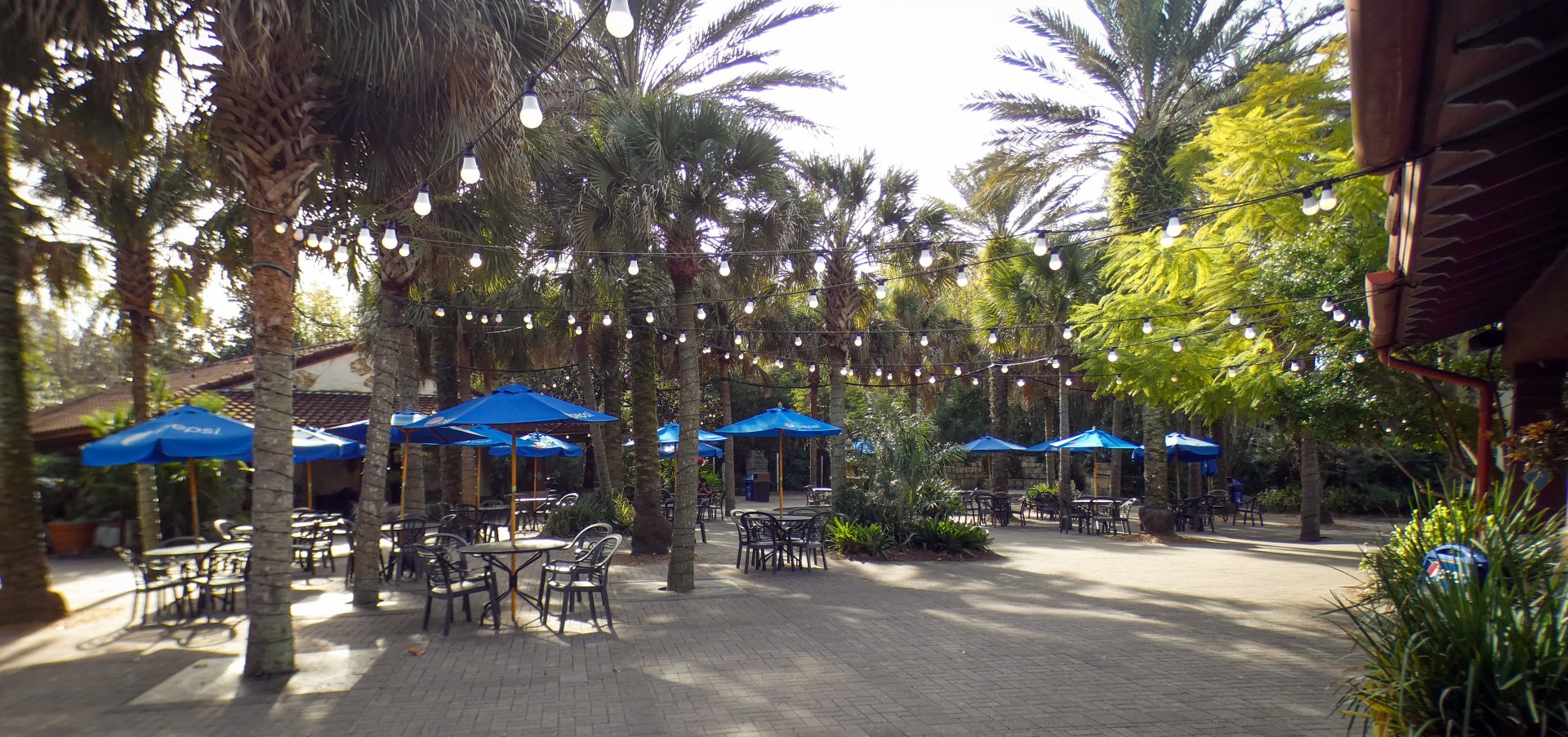 Jan. 2022 - Range of the Jaguar - Courtyard