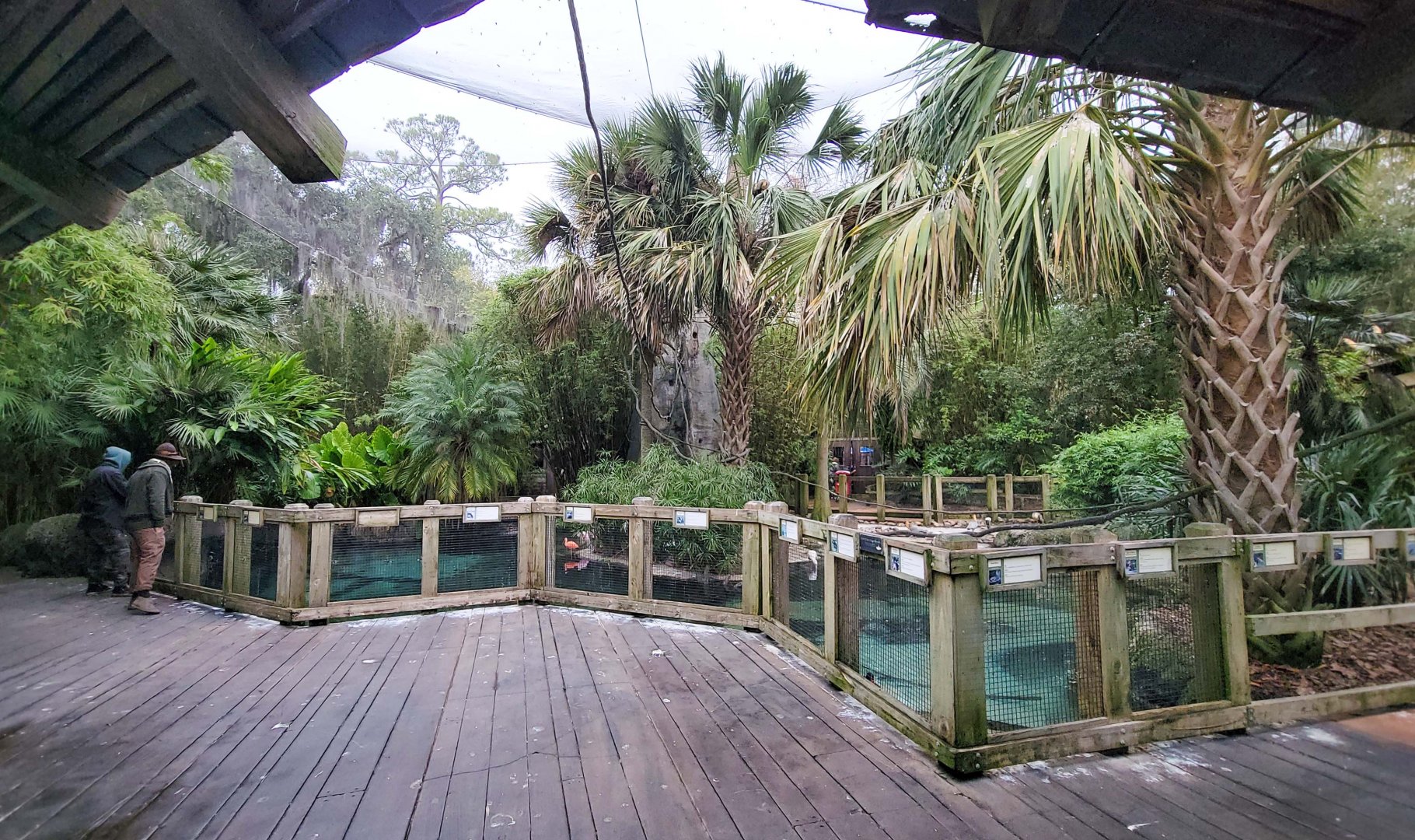 Jan. 2022 - Range of the Jaguar - Emerald Forest Aviary (17 Species)