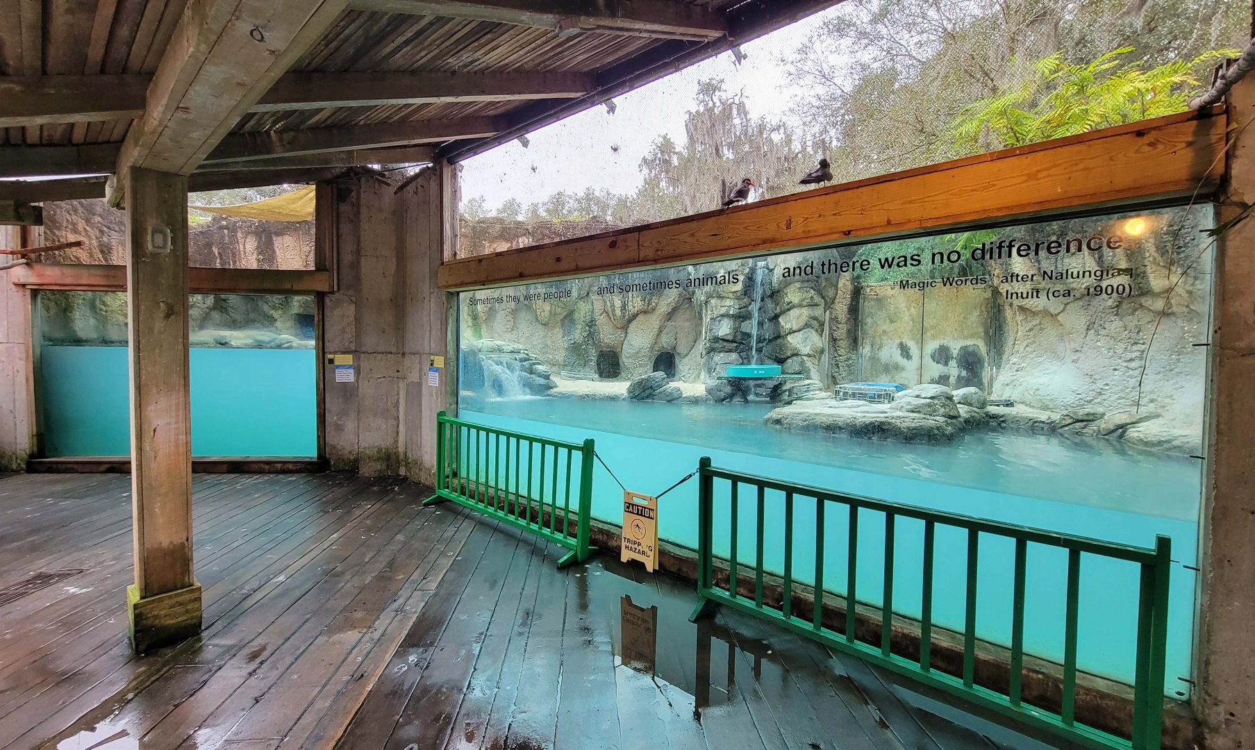 Jan. 2022 - Range of the Jaguar - Emerald Forest Aviary - Giant Otter Exhibit