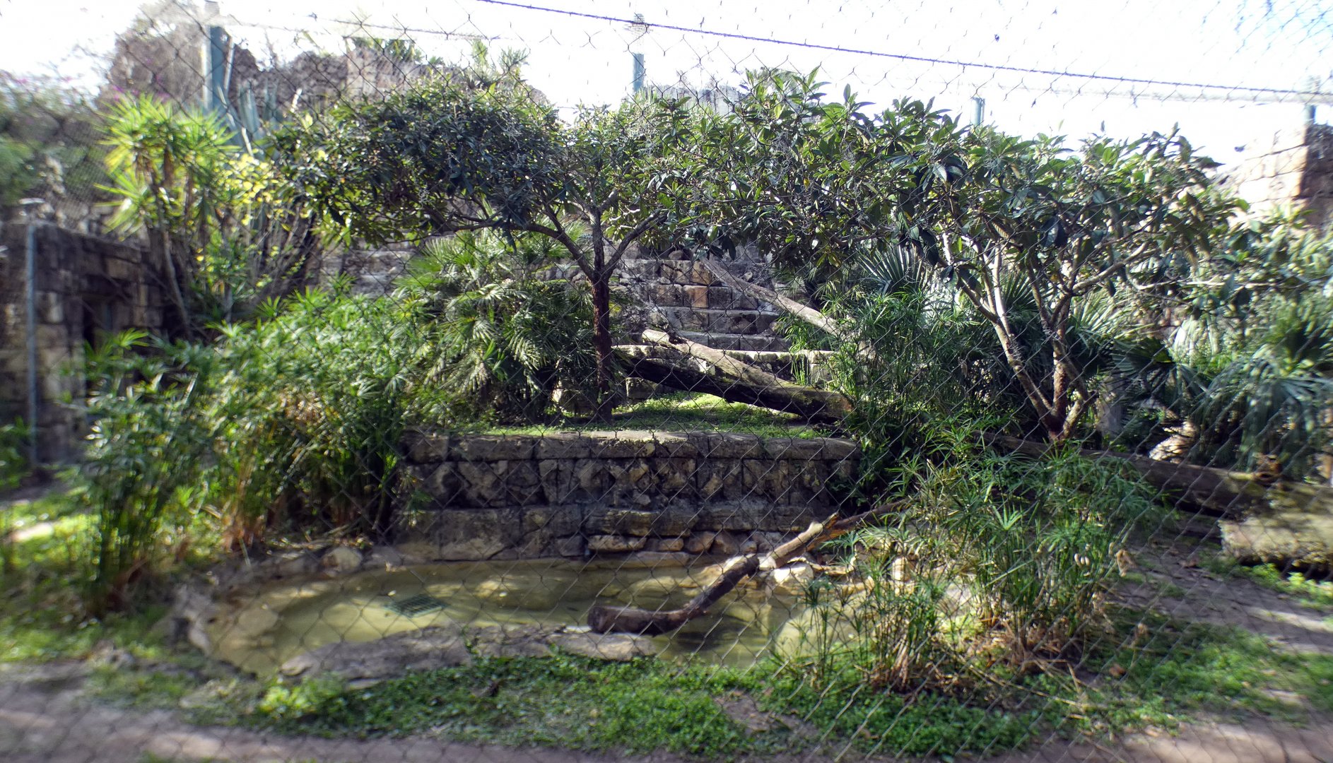 Jan. 2022 - Range of the Jaguar - Left Jaguar Exhibit