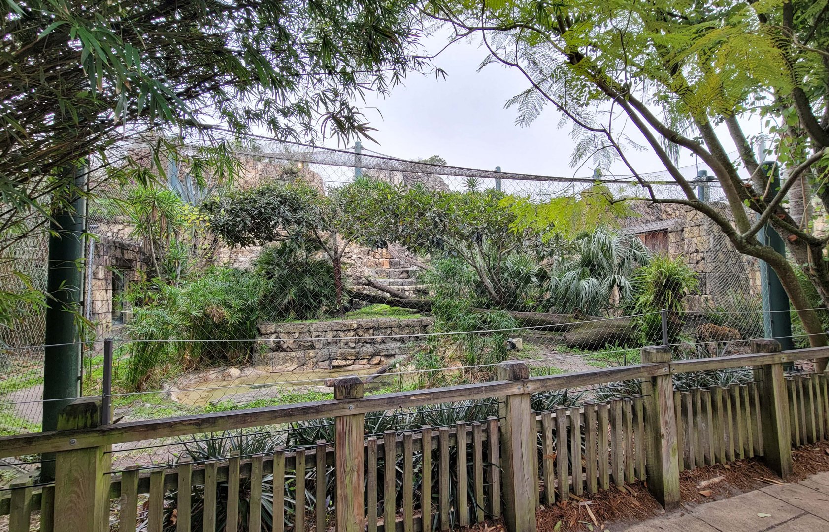 Jan. 2022 - Range of the Jaguar - Left Jaguar Exhibit