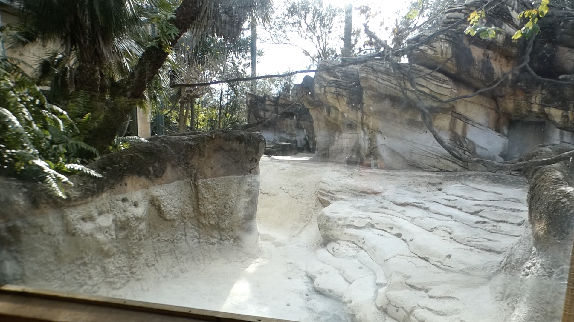 Jan. 2022 - Range of the Jaguar - River's Edge - Capybara/Arrau Turtle/Blue-billed Curassow Exhibit (empty)