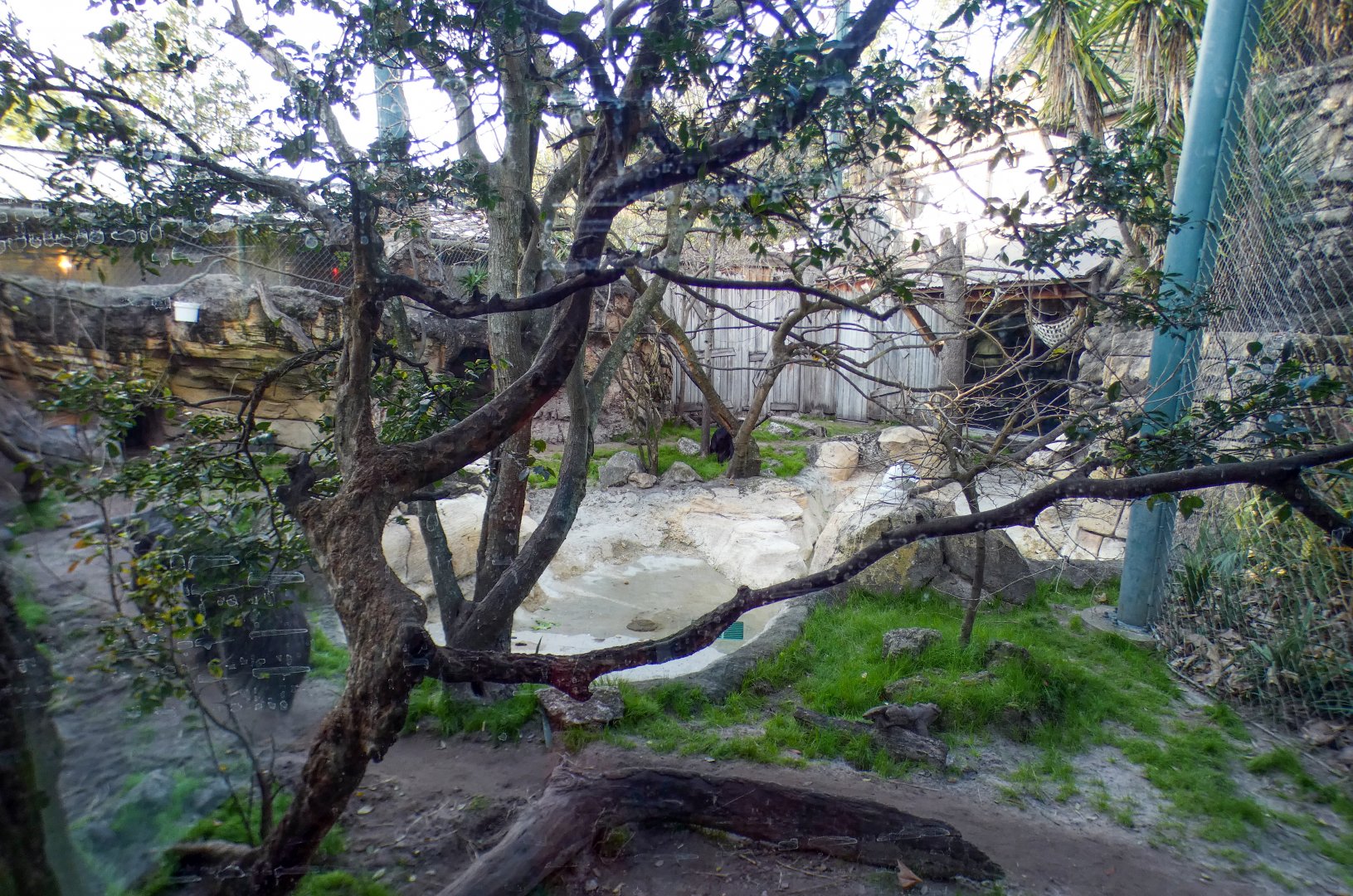 Jan. 2022 - Range of the Jaguar - River's Edge - Giant Anteater/Squirrel Monkey/Black Howler Exhibit