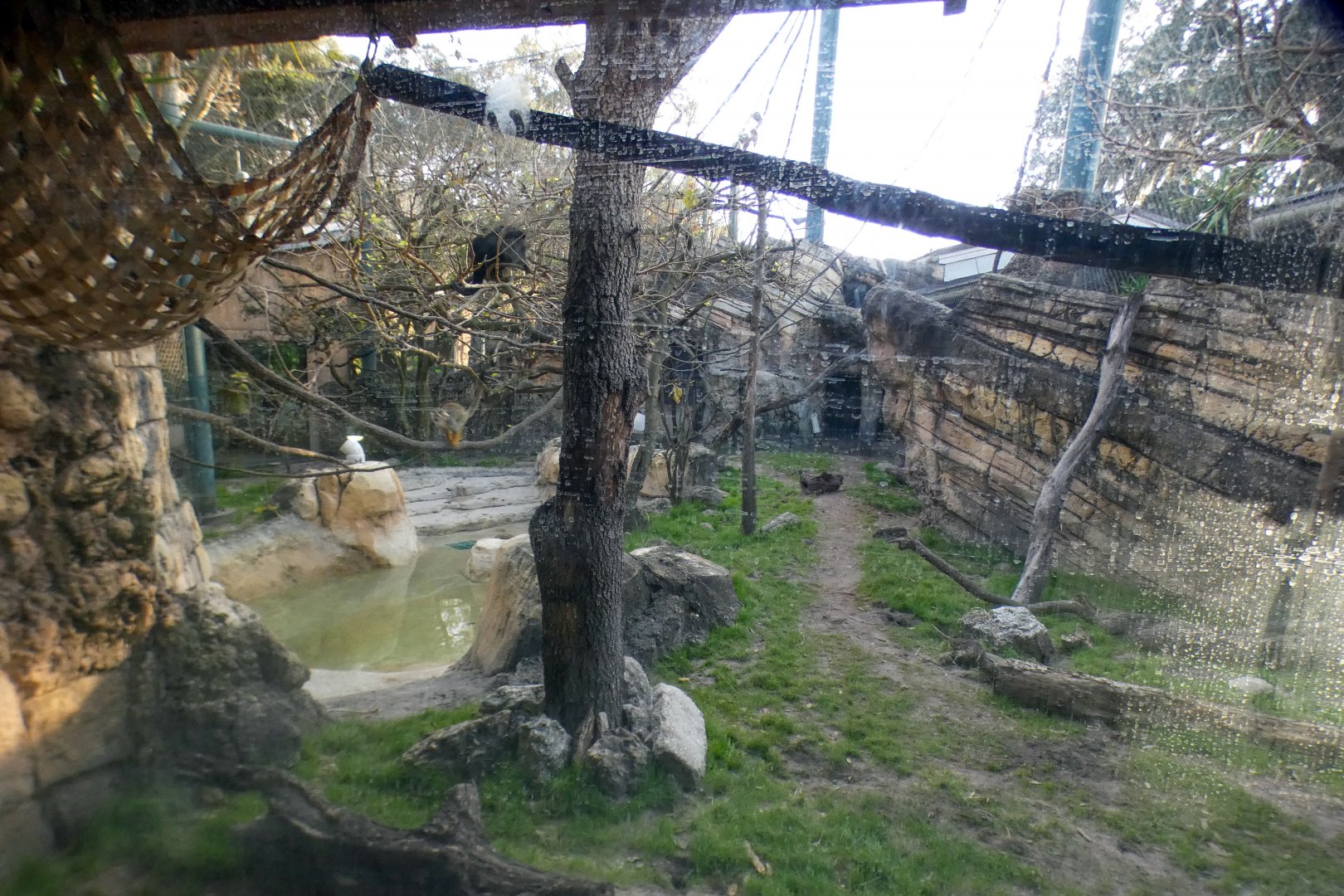 Jan. 2022 - Range of the Jaguar - River's Edge - Giant Anteater/Squirrel Monkey/Black Howler Exhibit