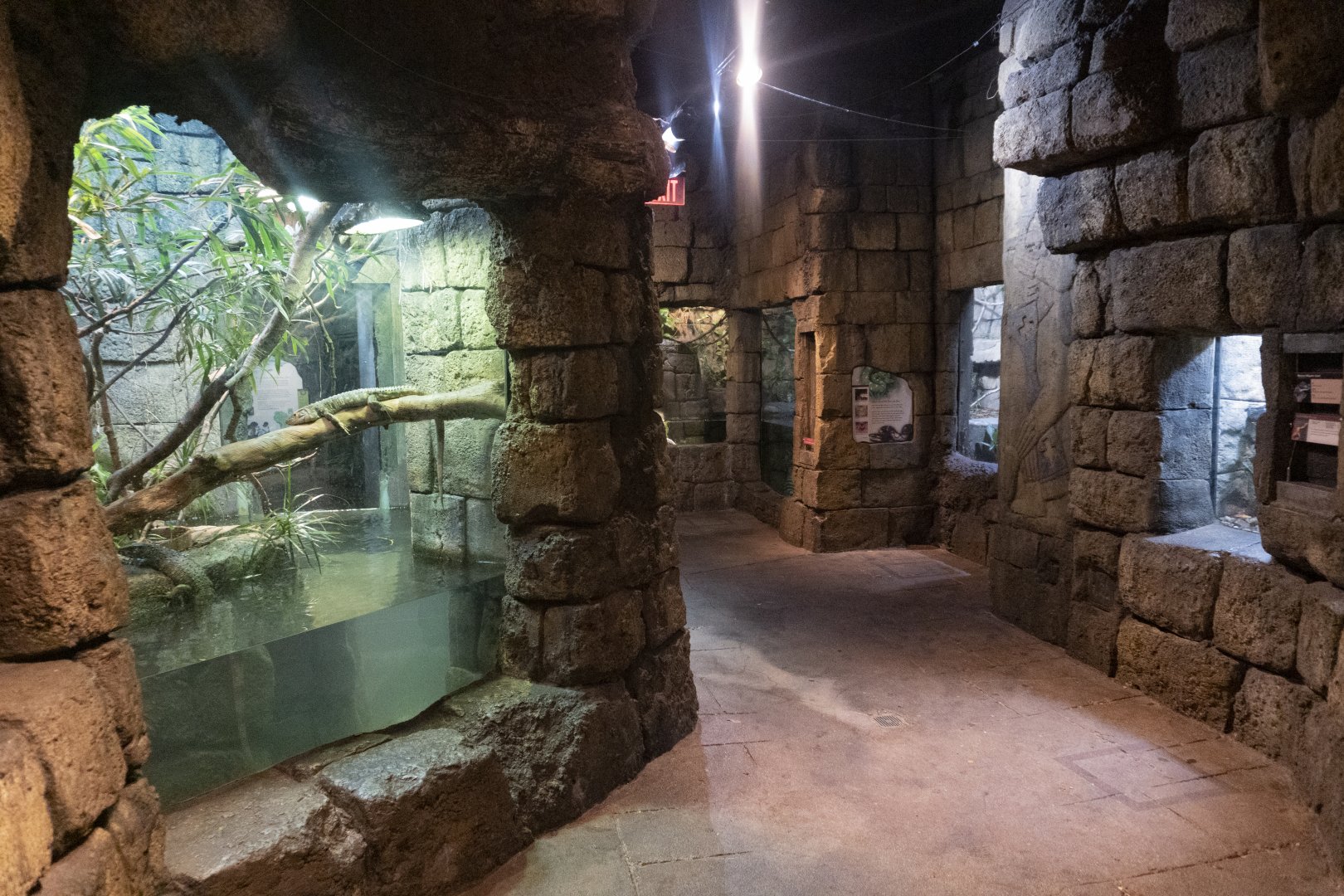 Jan. 2022 - Range of the Jaguar - The Lost Temple - Middle View