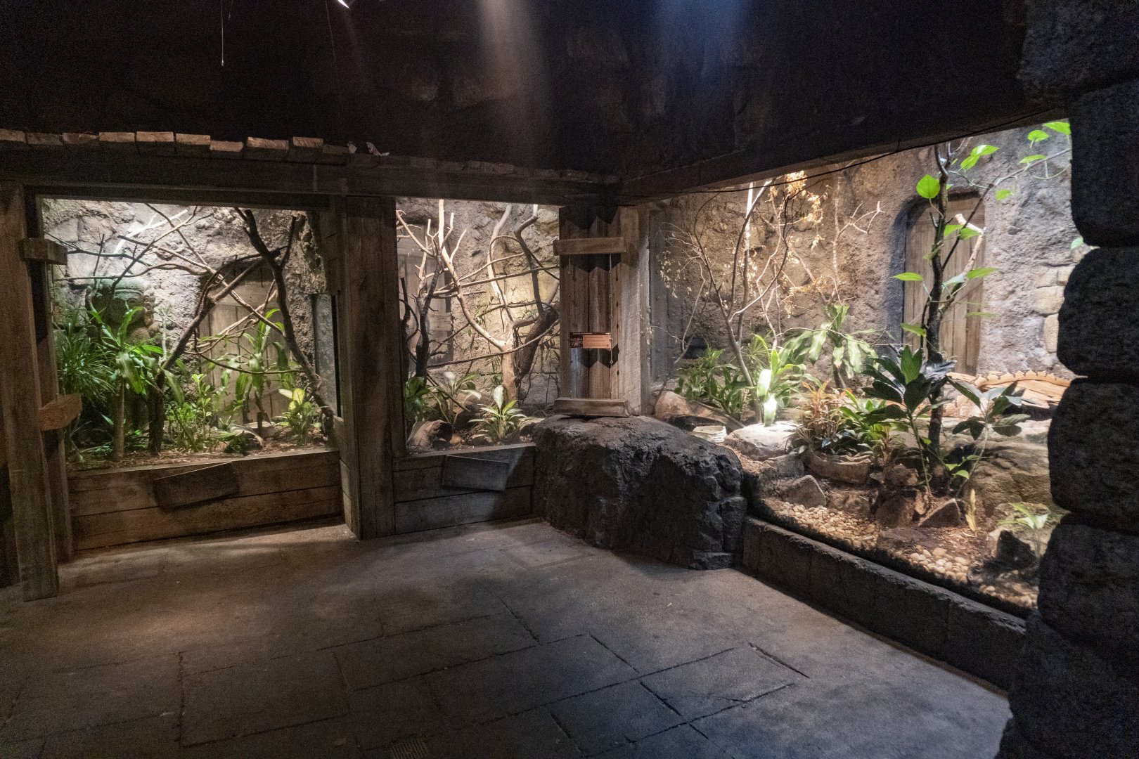 Jan. 2022 - Range of the Jaguar - The Lost Temple - Puffing Snake + Bushmaster Exhibit