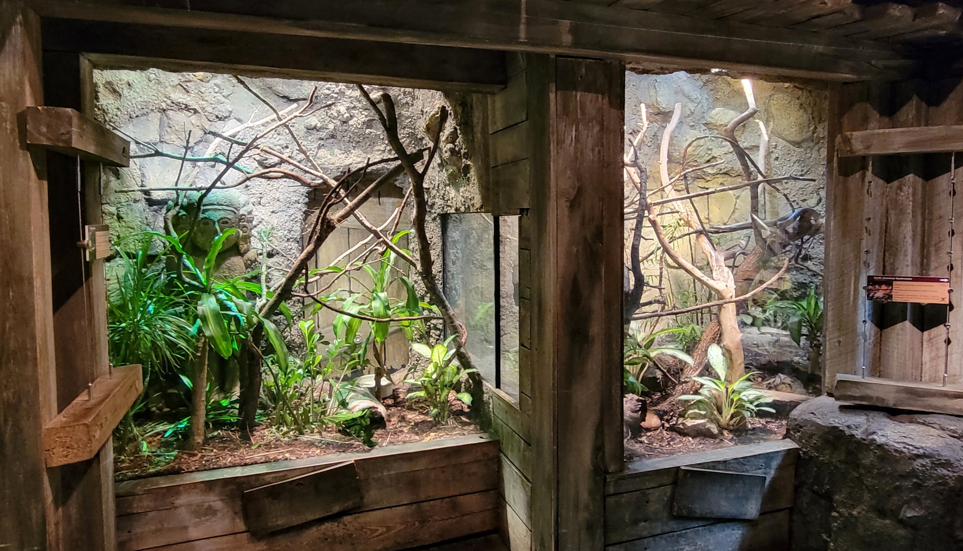 Jan. 2022 - Range of the Jaguar - The Lost Temple - Puffing Snake Exhibits