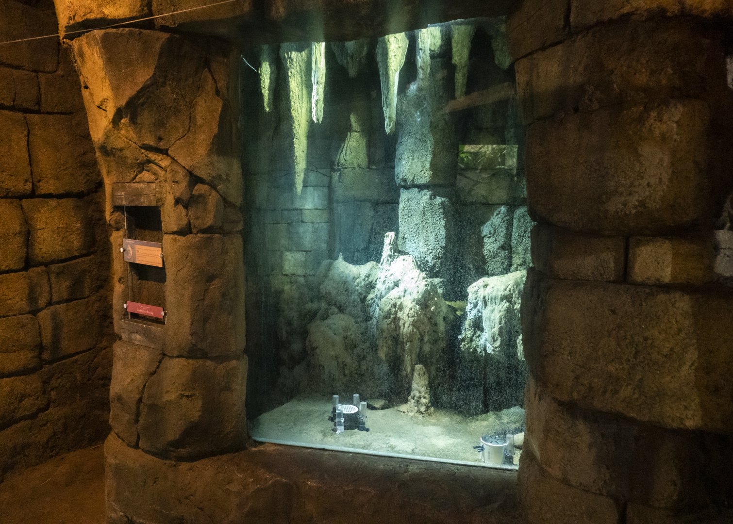 Jan. 2022 - Range of the Jaguar - The Lost Temple - Vampire Bat Exhibit