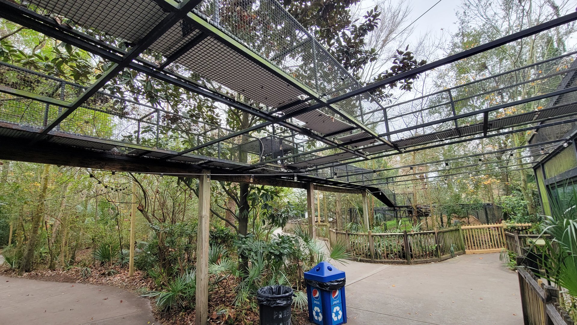 Jan. 2022 - Wild Florida - Bobcat Overhead System