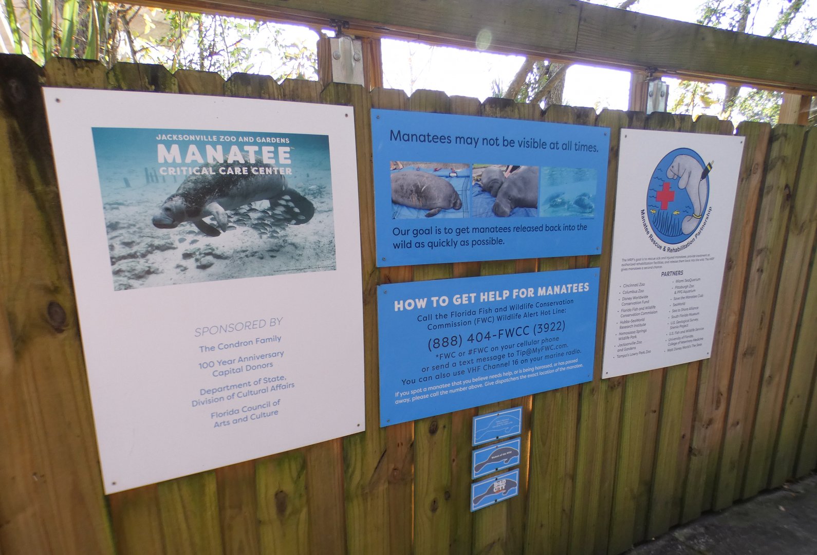 Jan. 2022 - Wild Florida - Manatee Critical Care Center