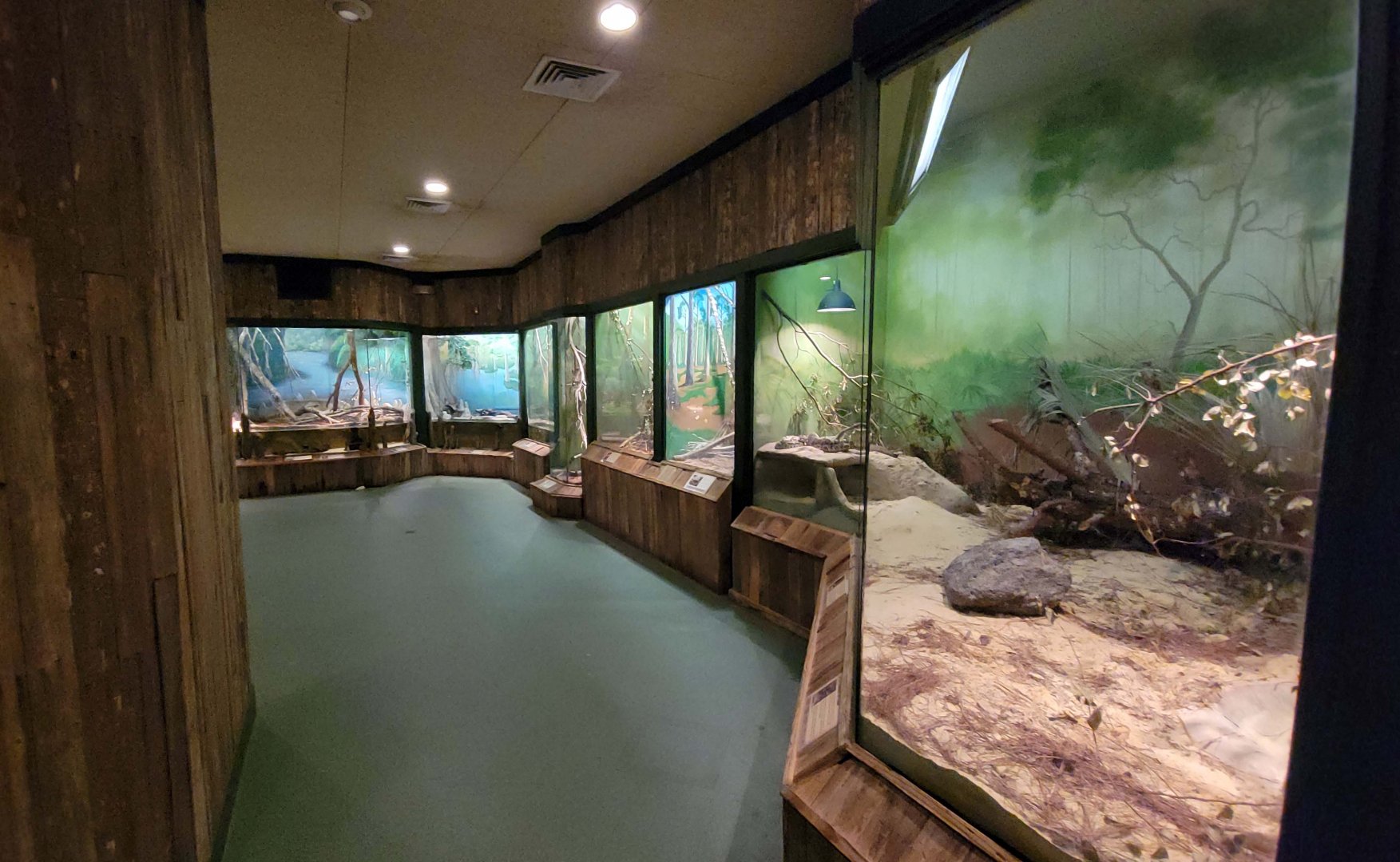 Jan. 2022 - Wild Florida - Reptiles of Florida - Entrance View