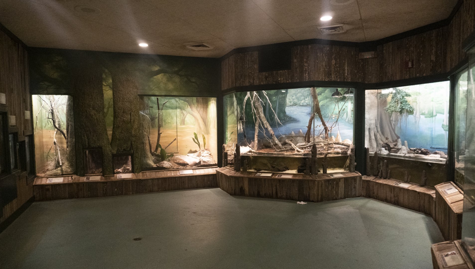 Jan. 2022 - Wild Florida - Reptiles of Florida - General View