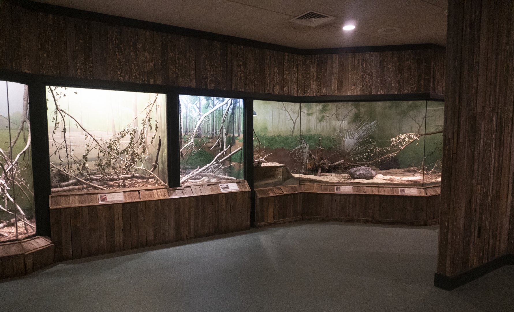 Jan. 2022 - Wild Florida - Reptiles of Florida - General View