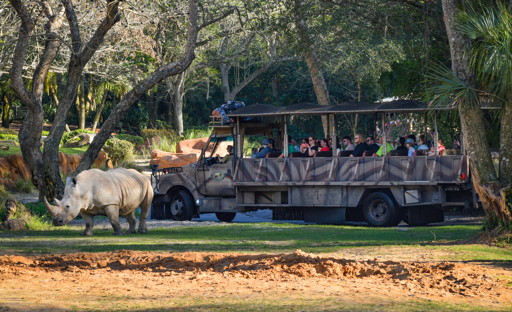 Jan. 2023 - Kilamanjaro Safaris