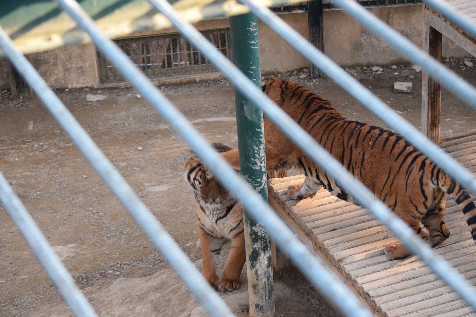 Jang-mi hits her brother dan-mi