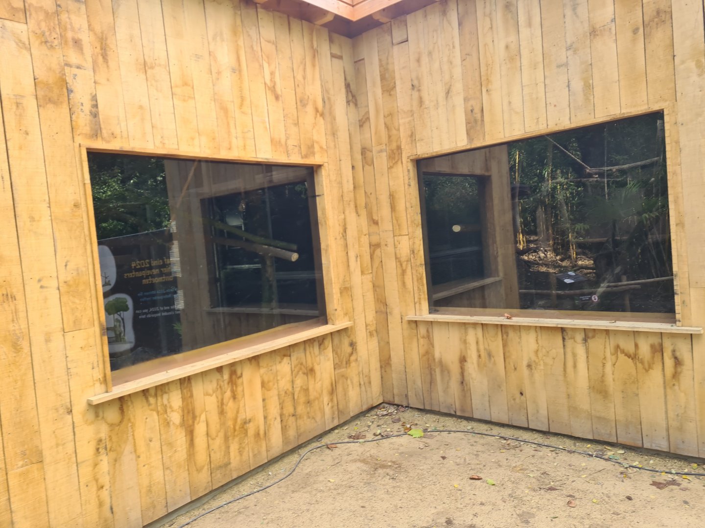 Jangalee - Clouded leopard indoor habitat