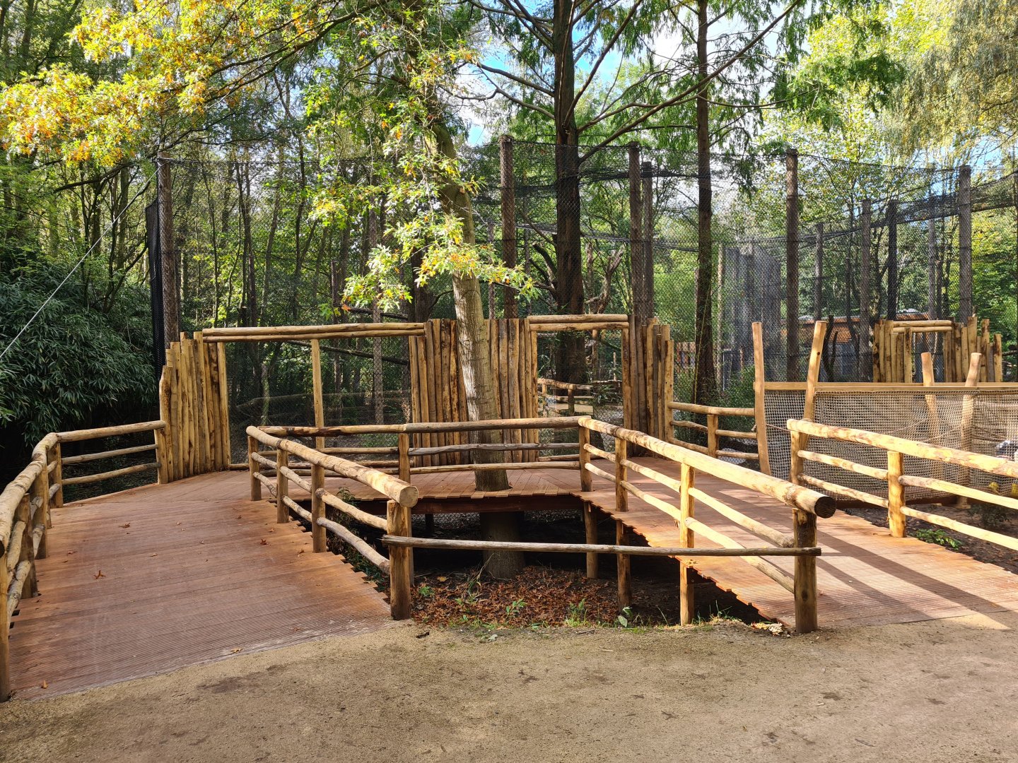 Jangalee - Future Clouded leopard habitat