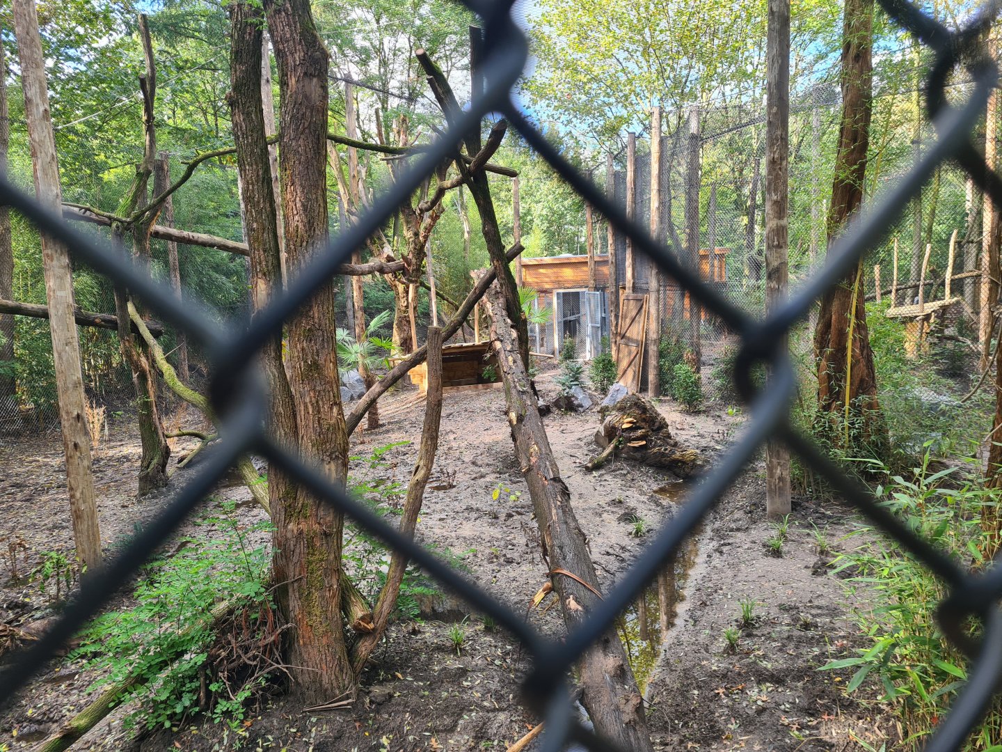 Jangalee - Future Clouded leopard habitat
