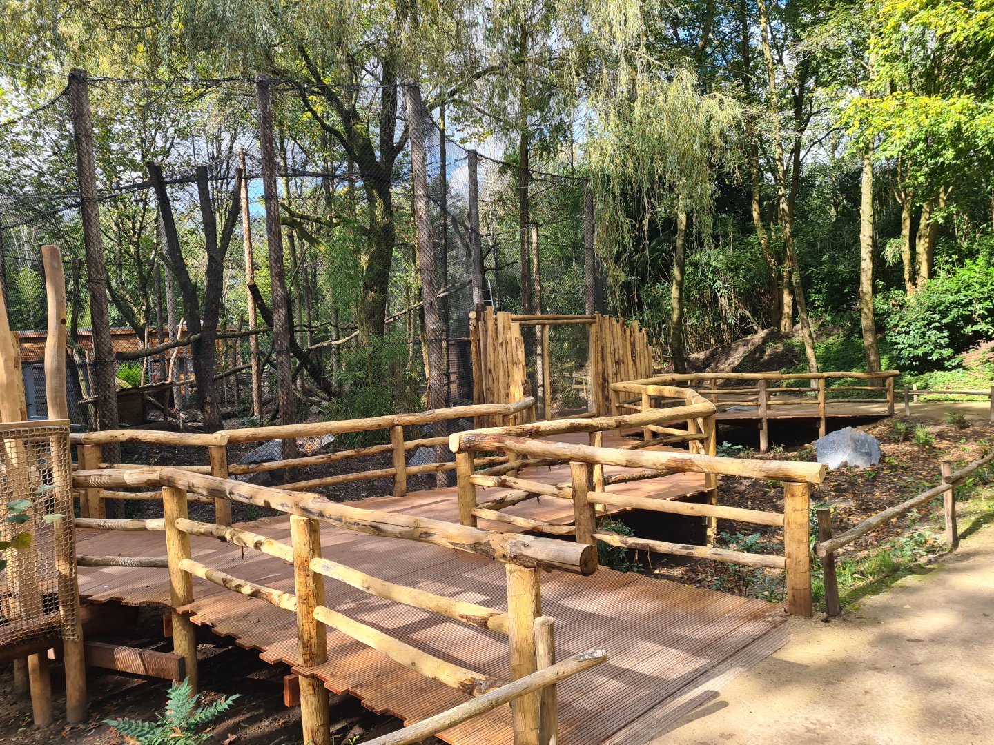 Jangalee - Future Clouded leopard habitat