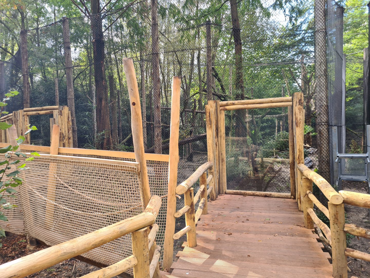 Jangalee- Future Clouded leopard habitat