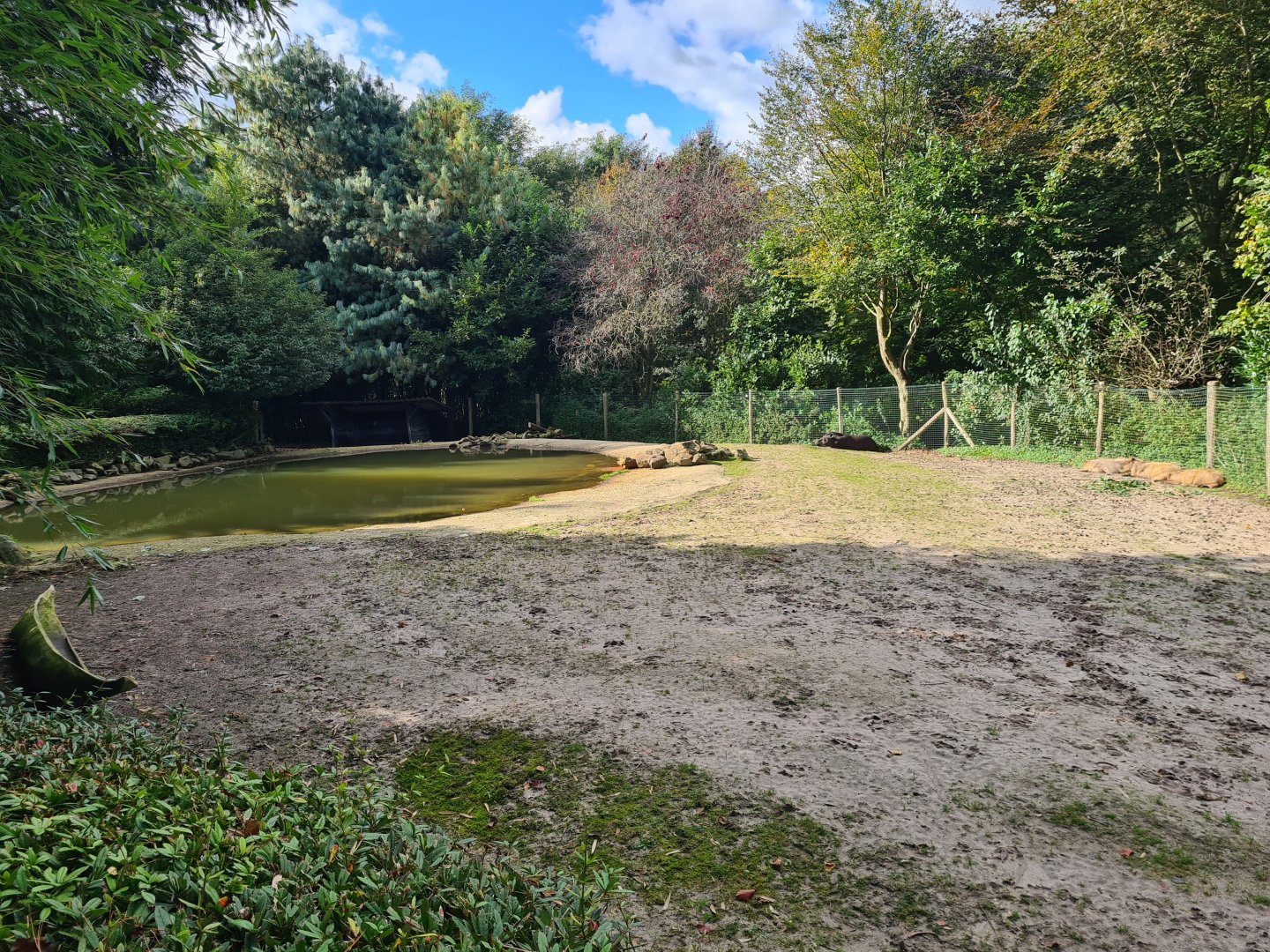 Jangalee - Lowland tapir and Capybara habitat
