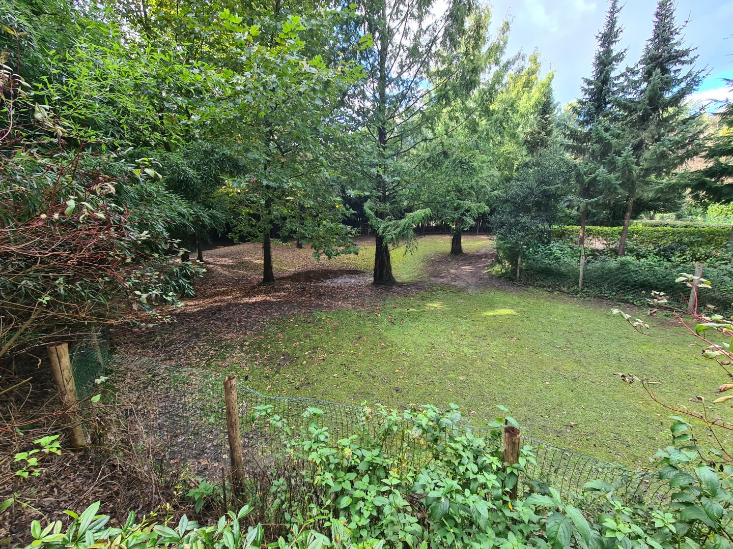 Jangalee - Lowland tapir and Capybara habitat