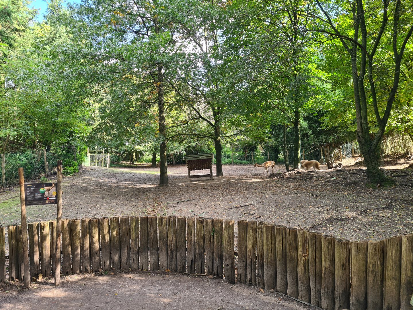 Jangalee - Vicuña habitat