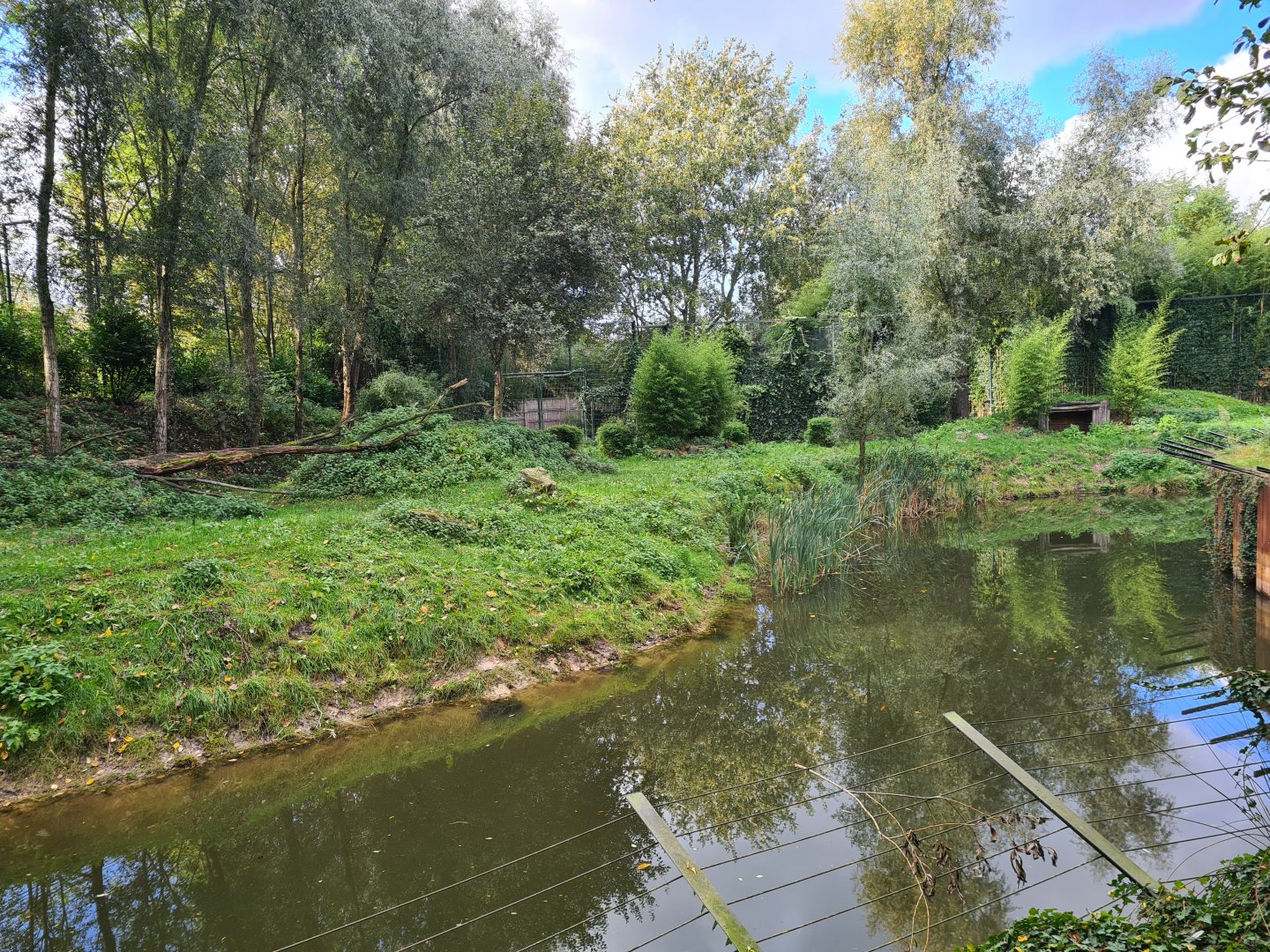 Jangalee - White tiger habitat