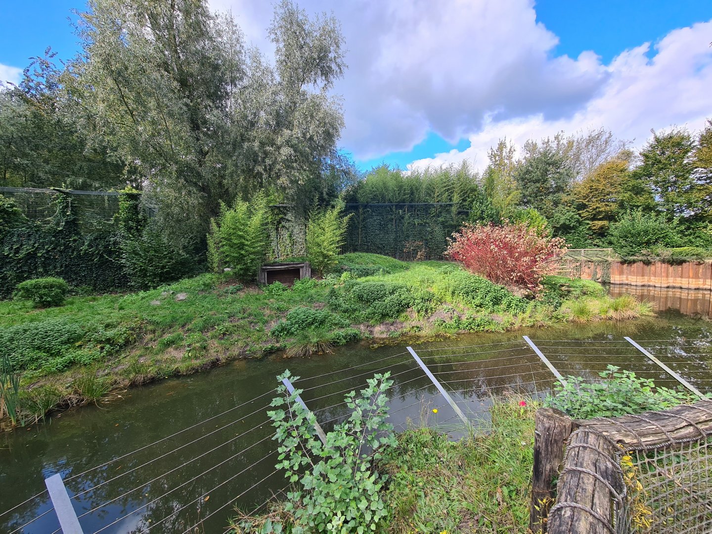 Jangalee - White tiger habitat