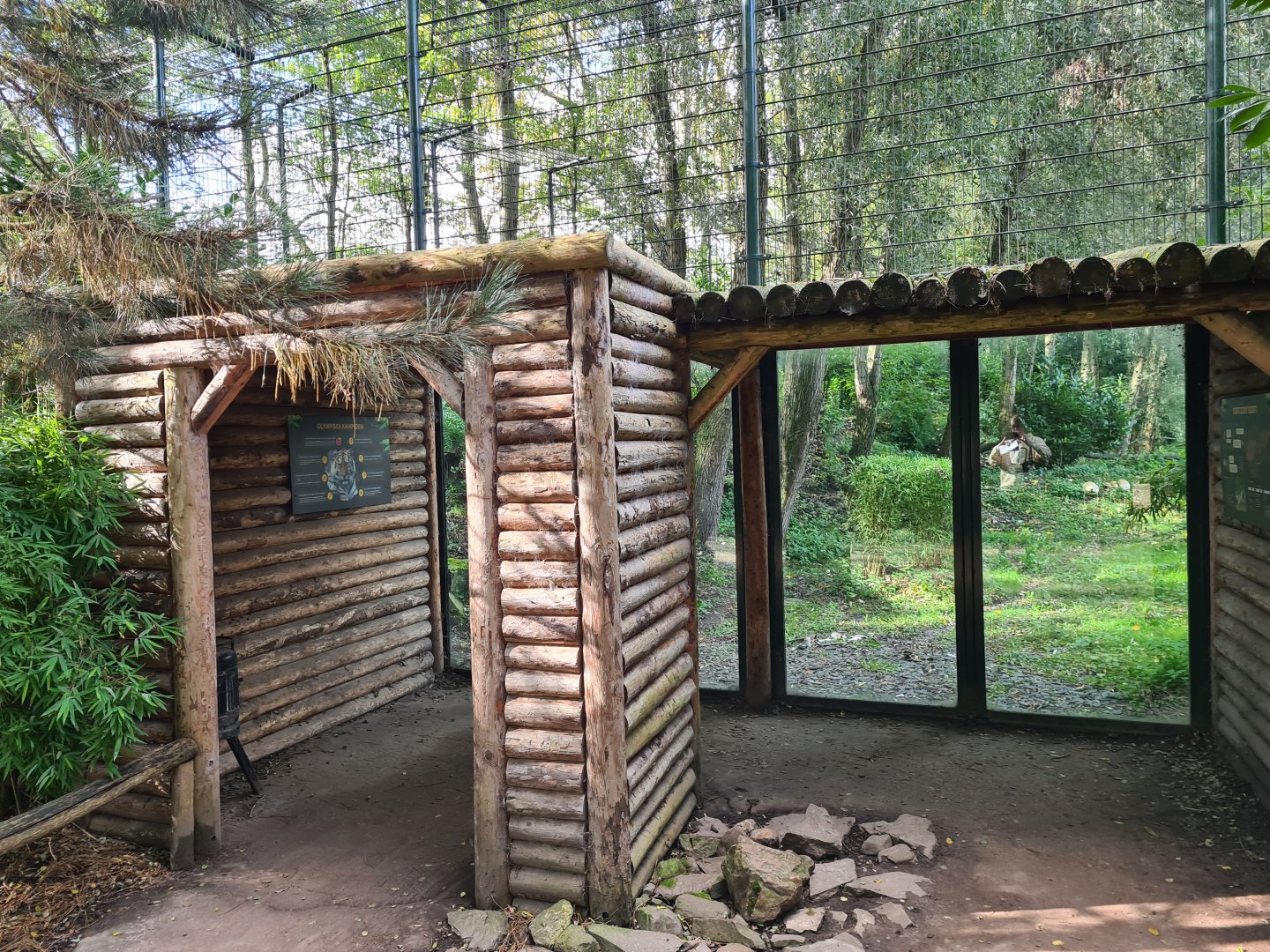 Jangalee - White tiger viewing hut